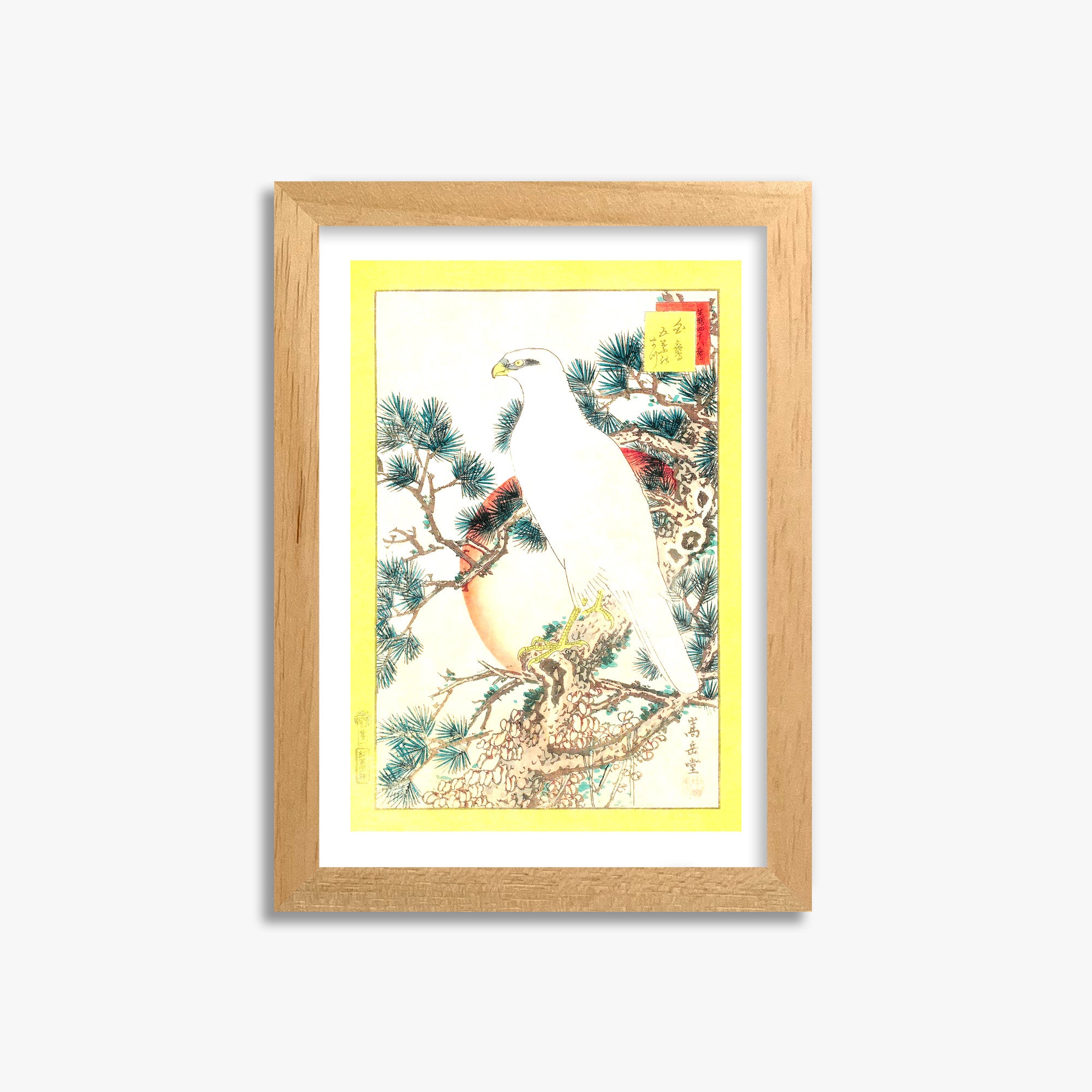 Nakayama Sûgakudô: White Falcon and Five-needled Pine, 21x30cm Oak Framed Art Reproduction