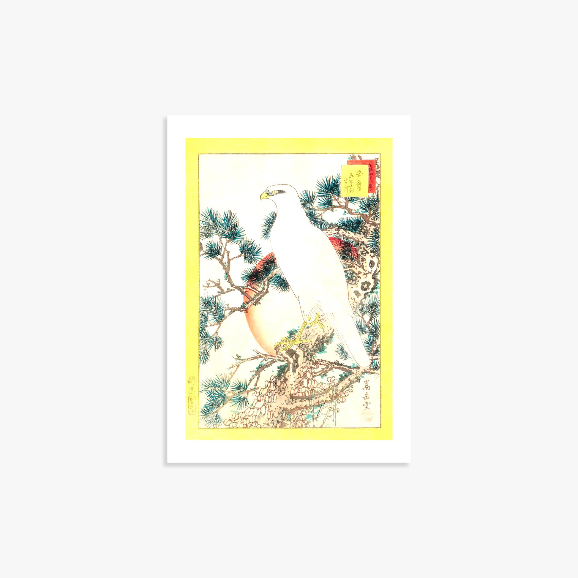Nakayama Sûgakudô: White Falcon and Five-needled Pine, 21x30cm Printed Poster