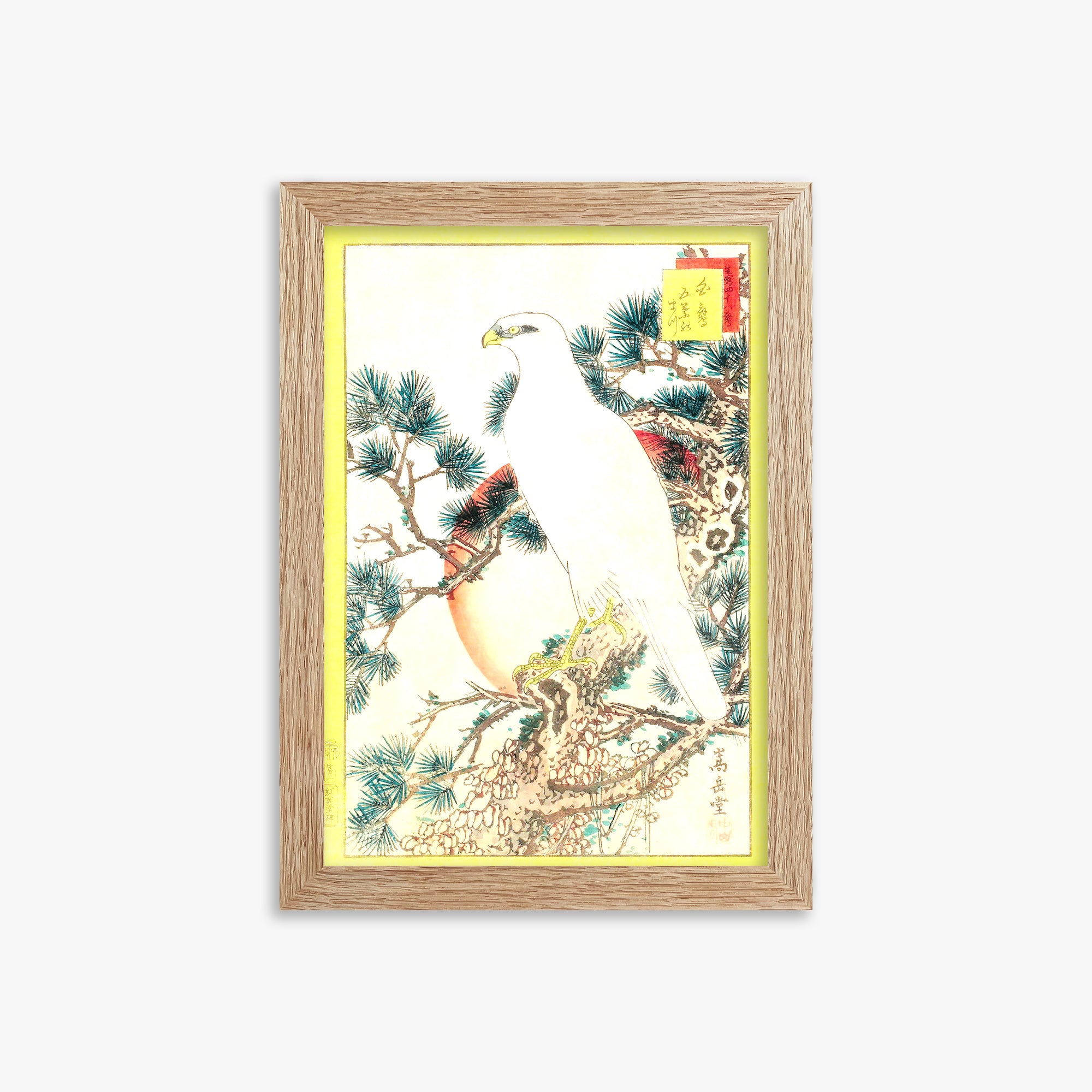 Nakayama Sûgakudô: White Falcon and Five-needled Pine, 21x30cm Framed Art Reproduction With Raw Oak Frame