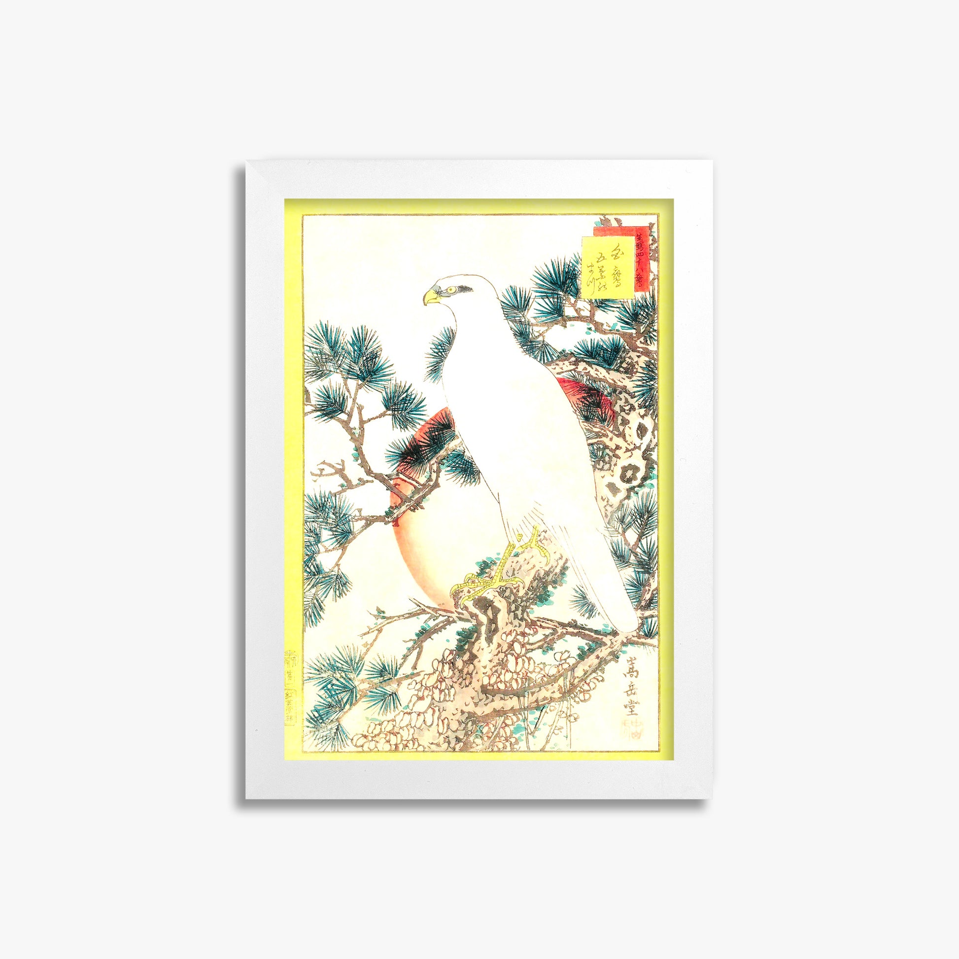 Nakayama Sûgakudô: White Falcon and Five-needled Pine, 21x30cm Whitek Framed Art Reproduction