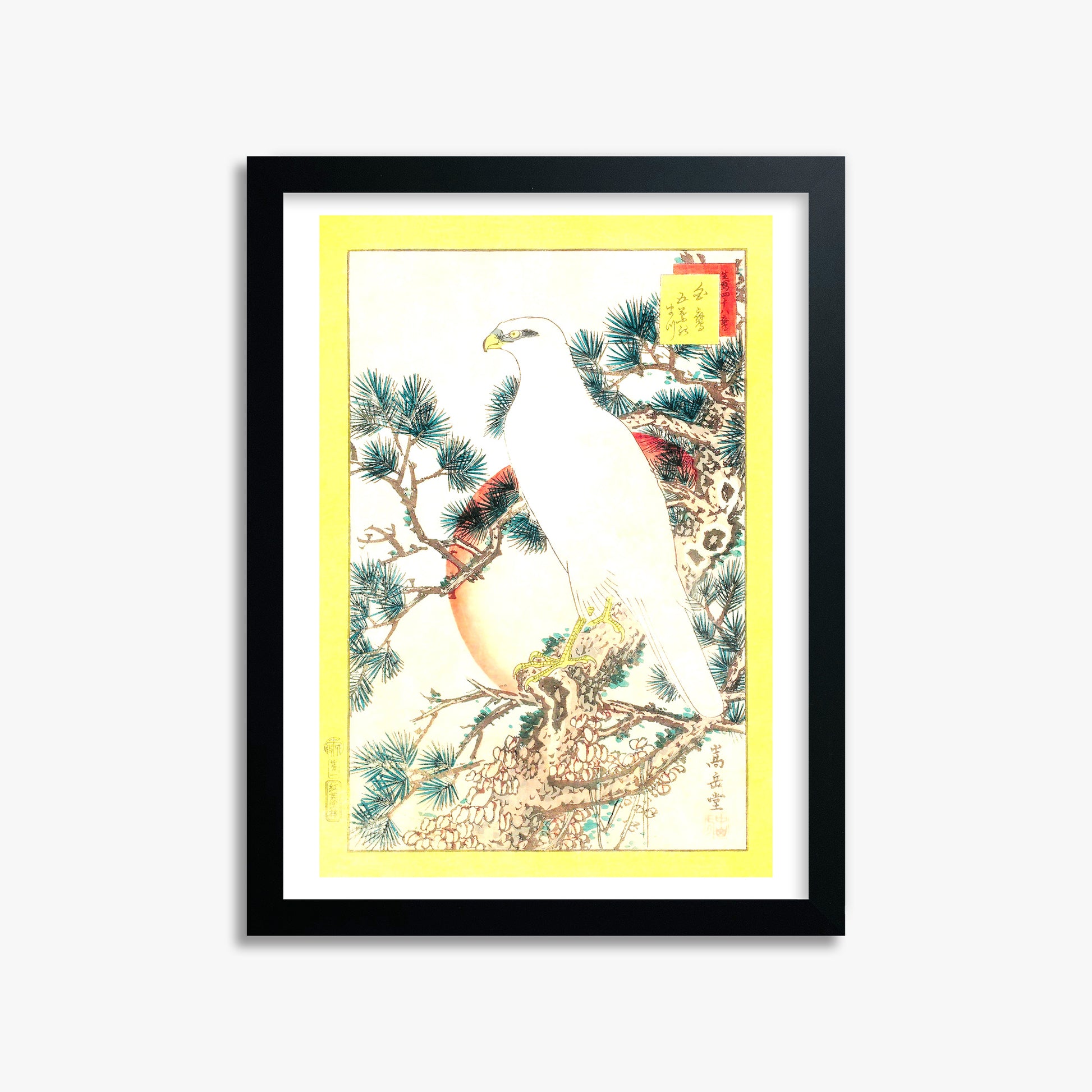 Nakayama Sûgakudô: White Falcon and Five-needled Pine, 30x40cm Black Framed Art Reproduction