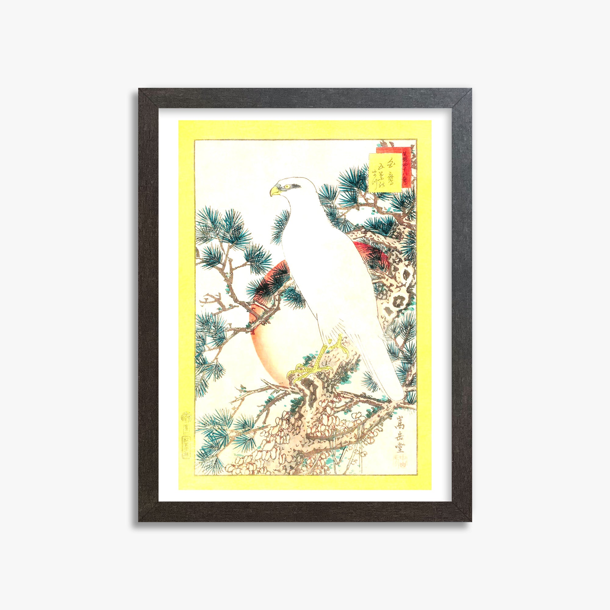 Nakayama Sûgakudô: White Falcon and Five-needled Pine, 30x40cm Framed Art Reproduction With Espresso Frame