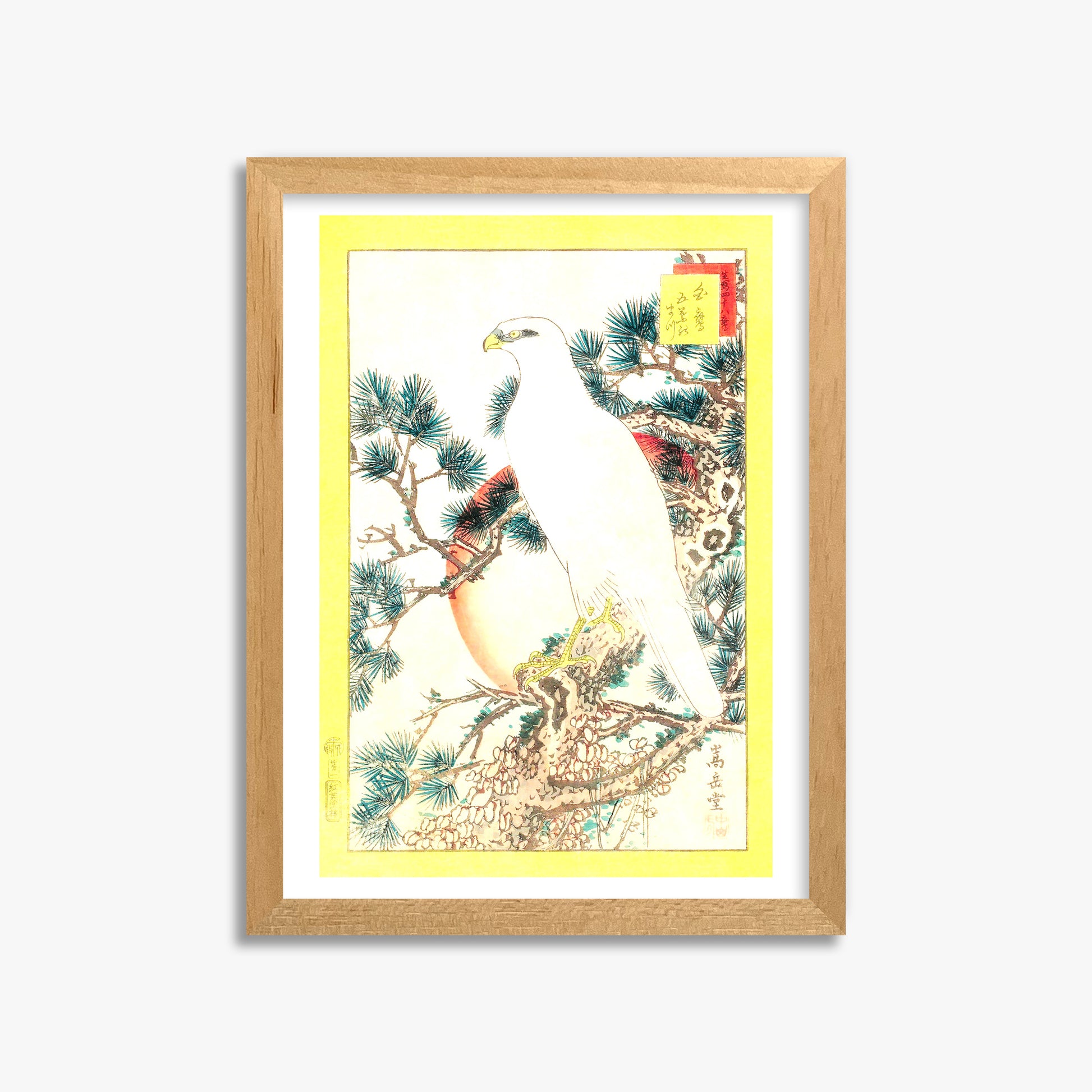 Nakayama Sûgakudô: White Falcon and Five-needled Pine, 30x40cm Oak Framed Art Reproduction