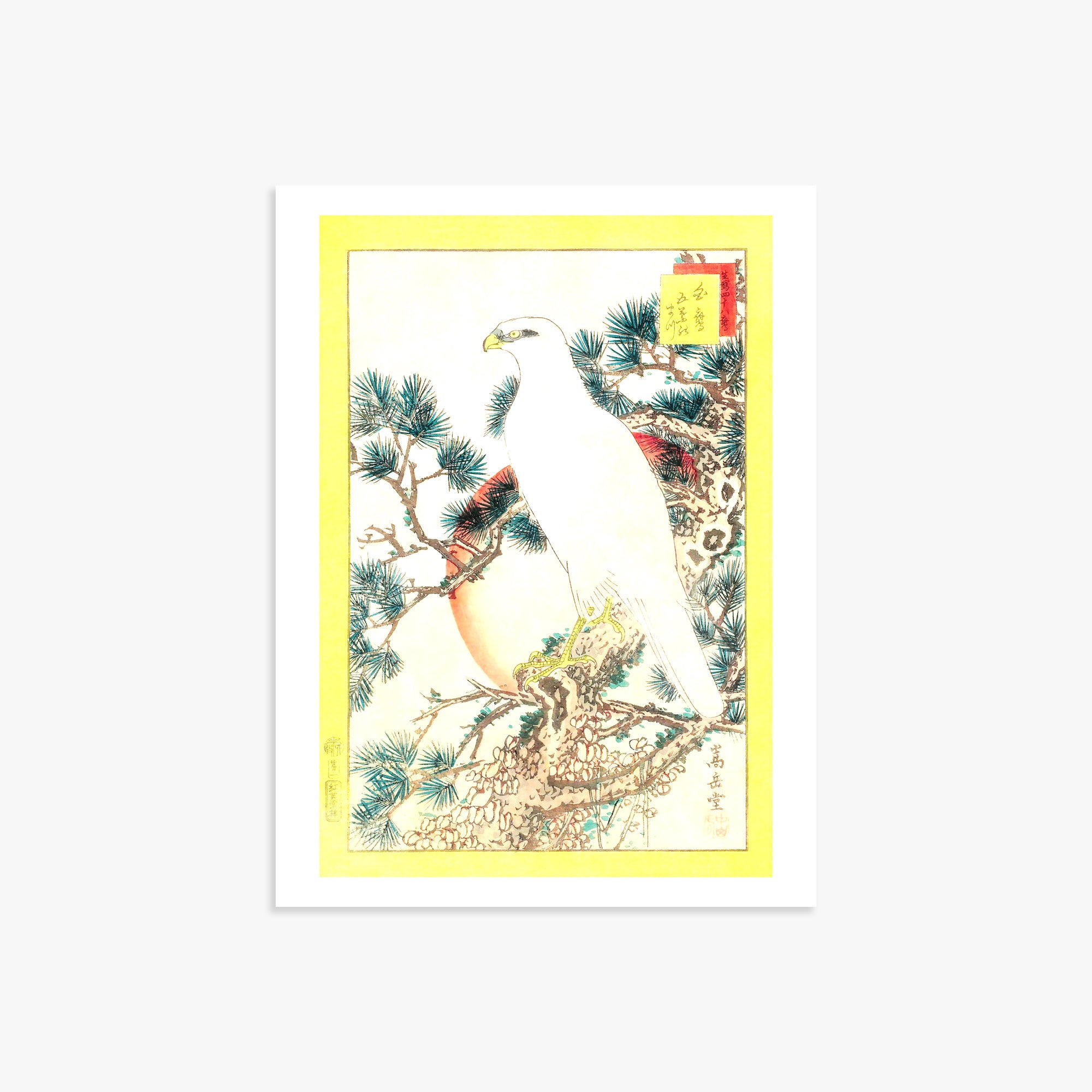 Nakayama Sûgakudô: White Falcon and Five-needled Pine, 30x40cm Printed Poster