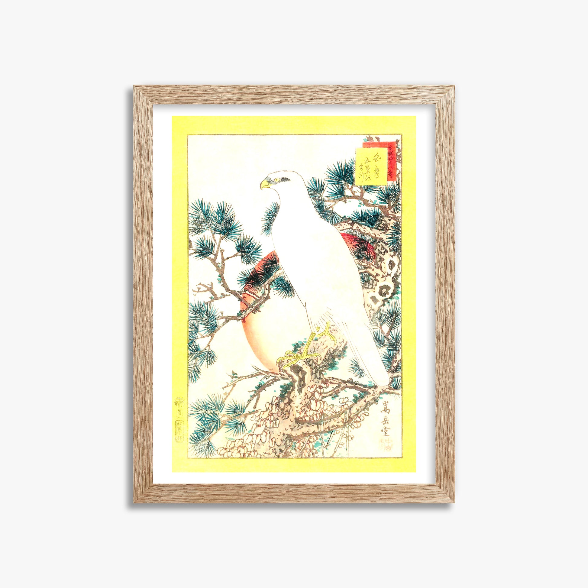 Nakayama Sûgakudô: White Falcon and Five-needled Pine, 30x40cm Framed Art Reproduction With Raw Oak Frame