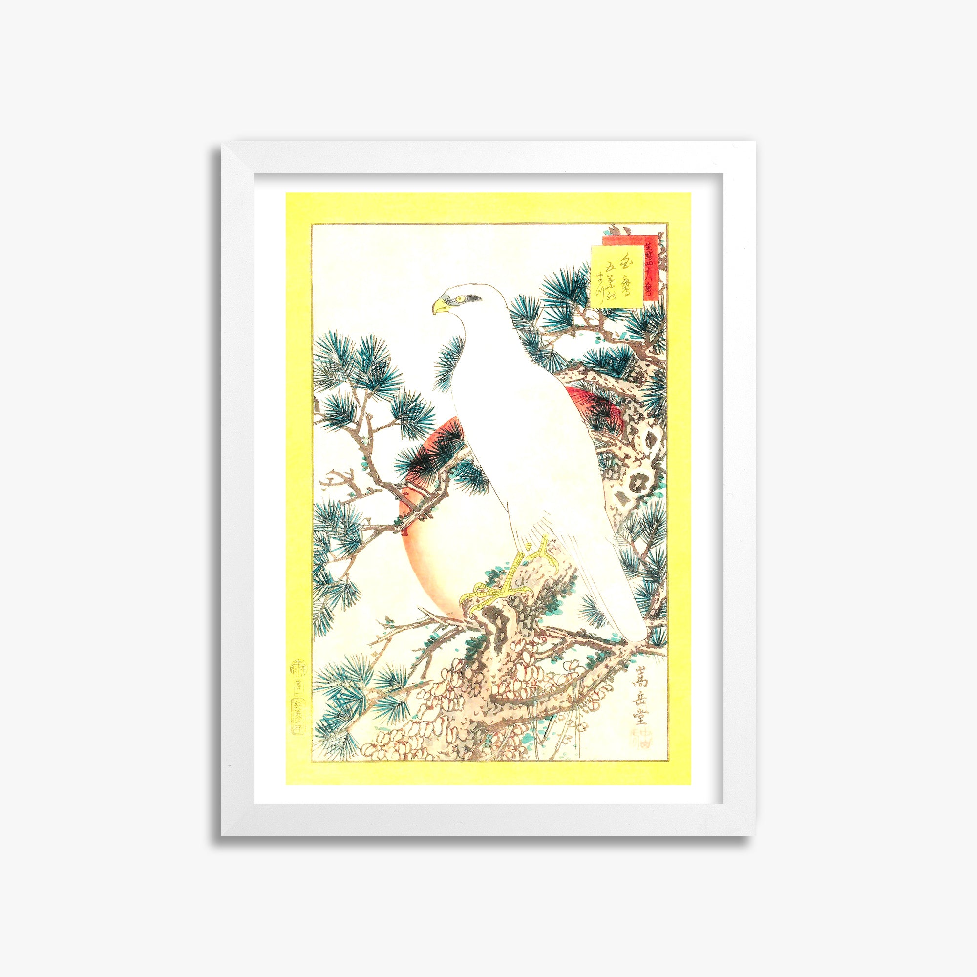 Nakayama Sûgakudô: White Falcon and Five-needled Pine, 30x40cm Whitek Framed Art Reproduction