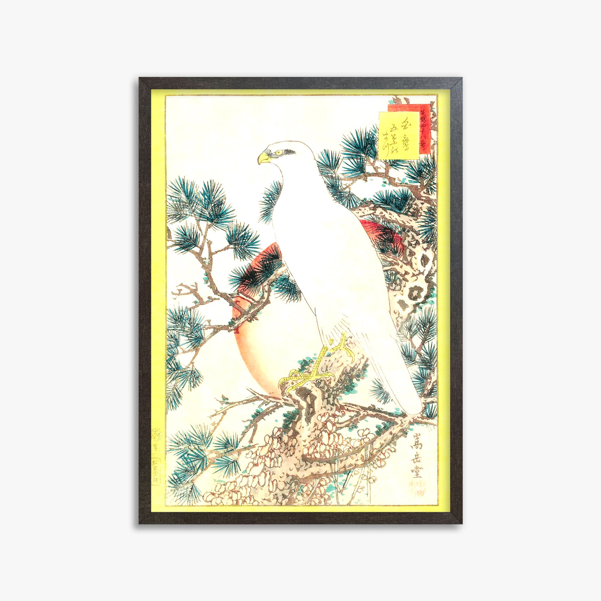 Nakayama Sûgakudô: White Falcon and Five-needled Pine, 50x70cm Framed Art Reproduction With Espresso Frame