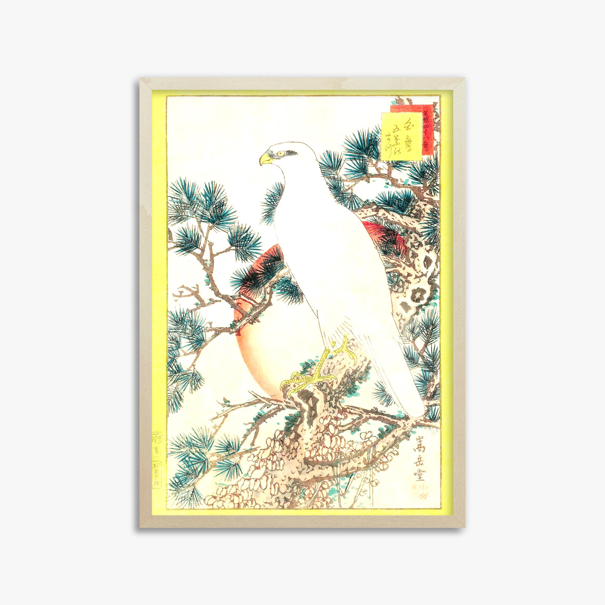 Nakayama Sûgakudô: White Falcon and Five-needled Pine, 50x70cm Framed Art Reproduction With Lime Wood Frame