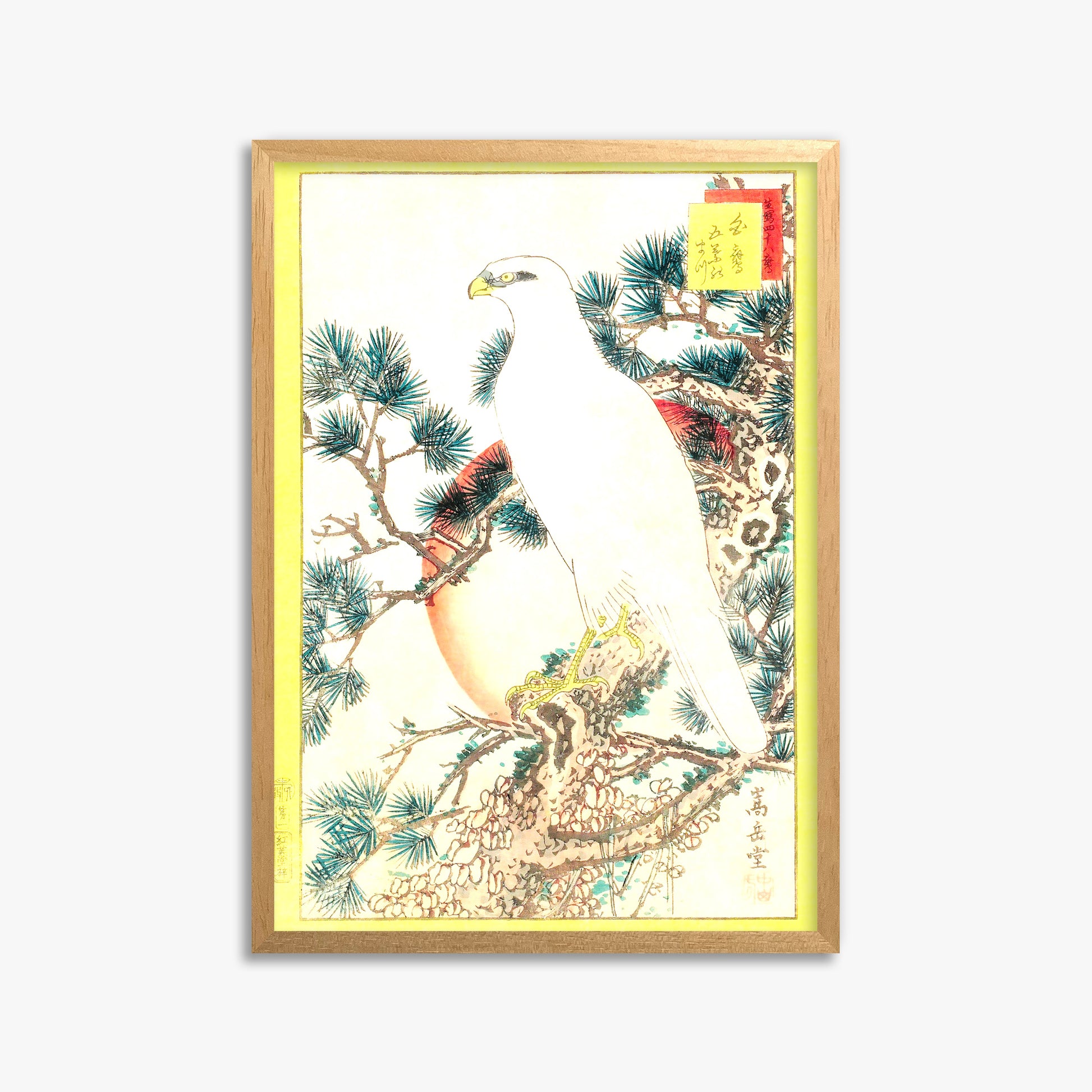 Nakayama Sûgakudô: White Falcon and Five-needled Pine, 50x70cm Oak Framed Art Reproduction