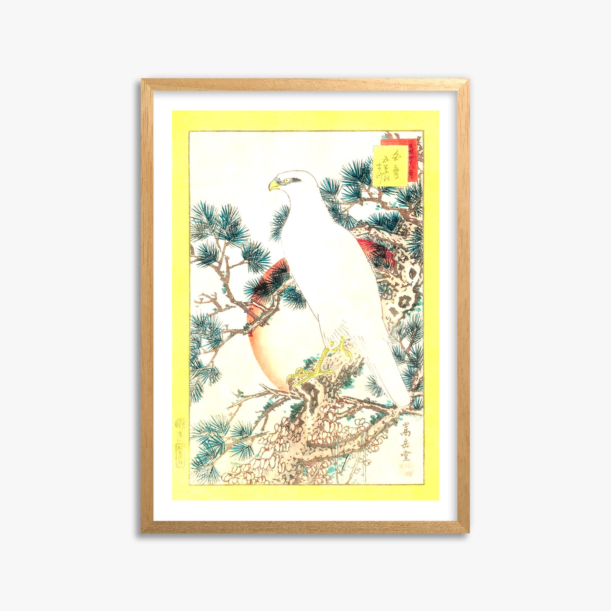 Nakayama Sûgakudô: White Falcon and Five-needled Pine, 50x70cm Oak Framed Art Reproduction