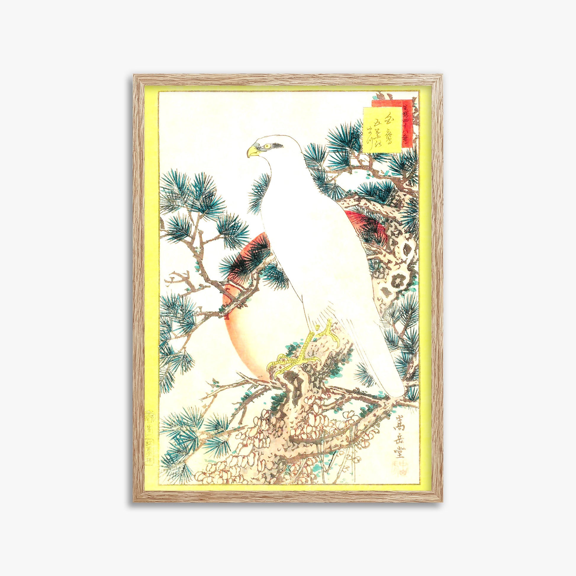 Nakayama Sûgakudô: White Falcon and Five-needled Pine, 50x70cm Framed Art Reproduction With Raw Oak Frame
