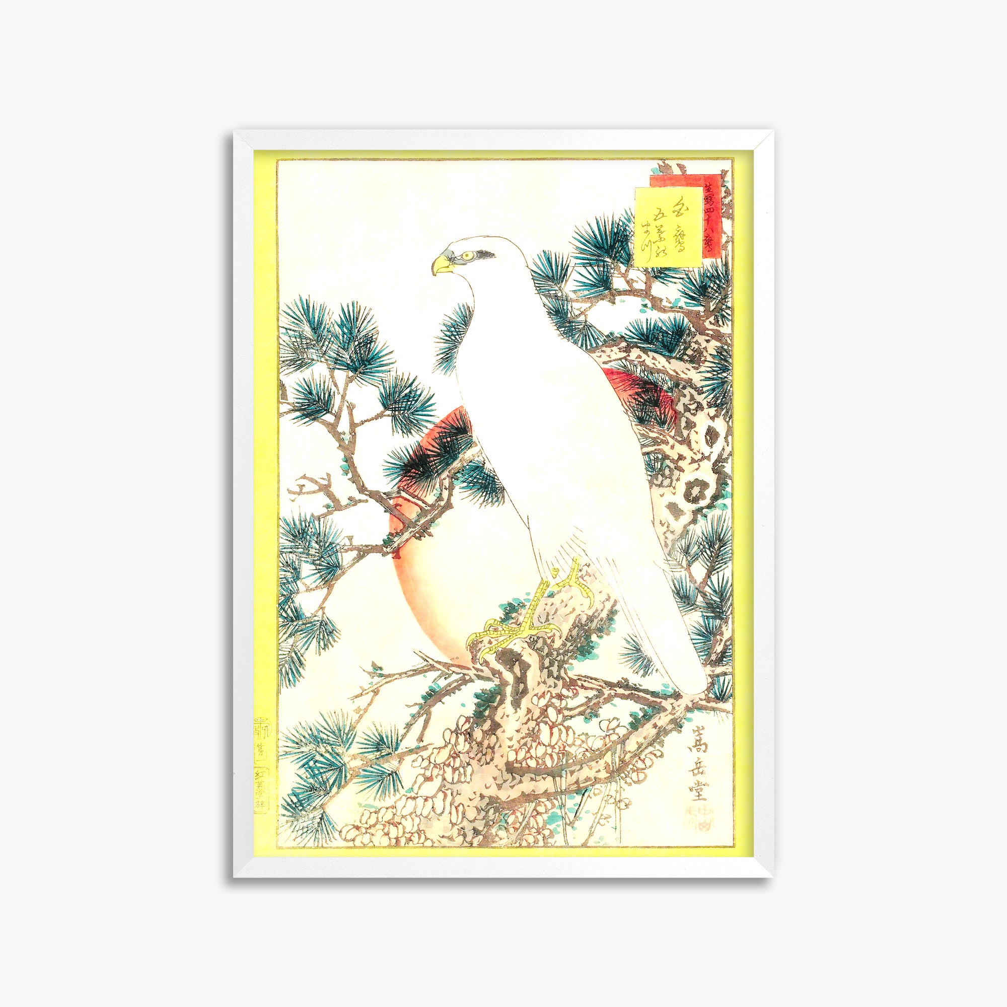 Nakayama Sûgakudô: White Falcon and Five-needled Pine, 50x70cm Whitek Framed Art Reproduction