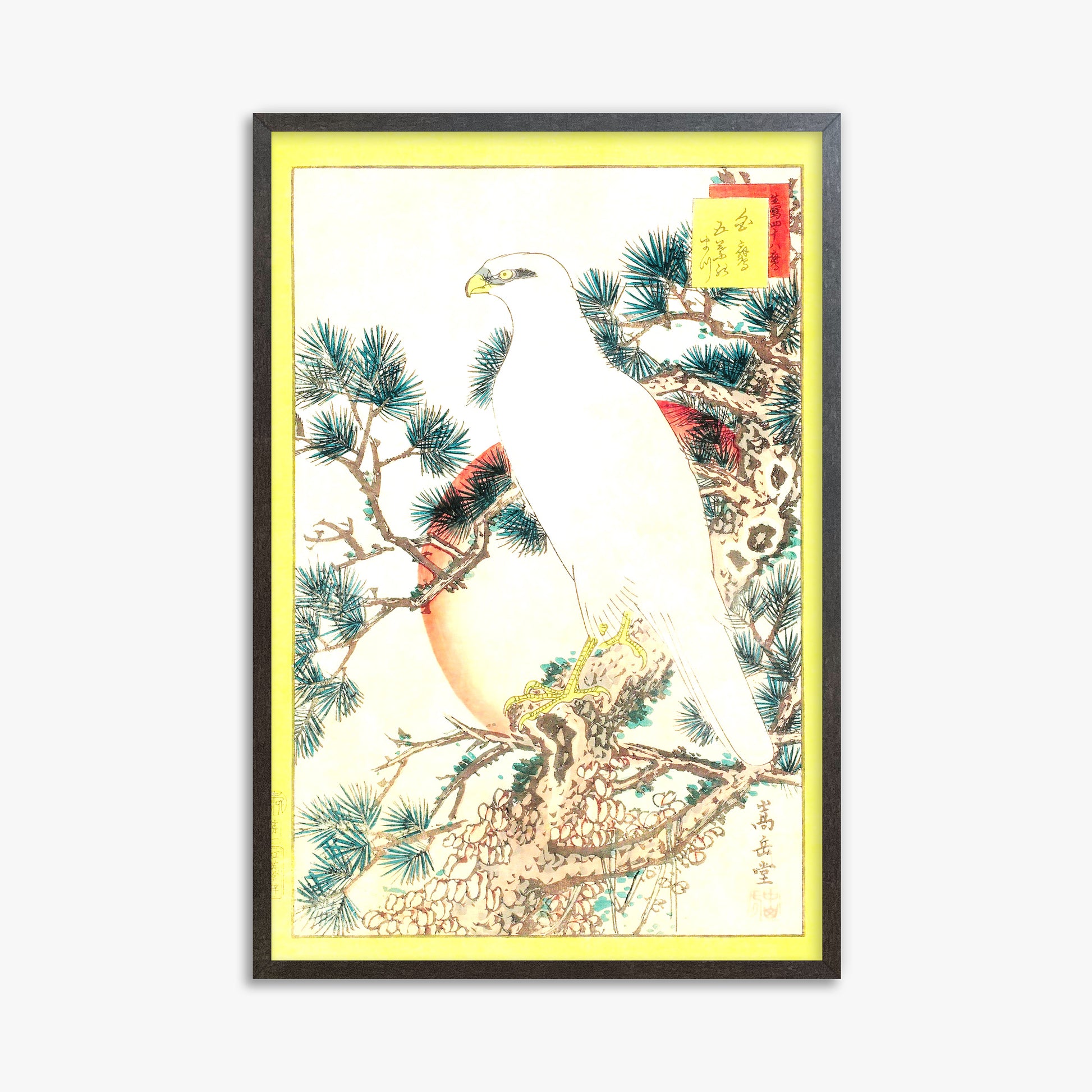 Nakayama Sûgakudô: White Falcon and Five-needled Pine, 61x91cm Framed Art Reproduction With Espresso Frame