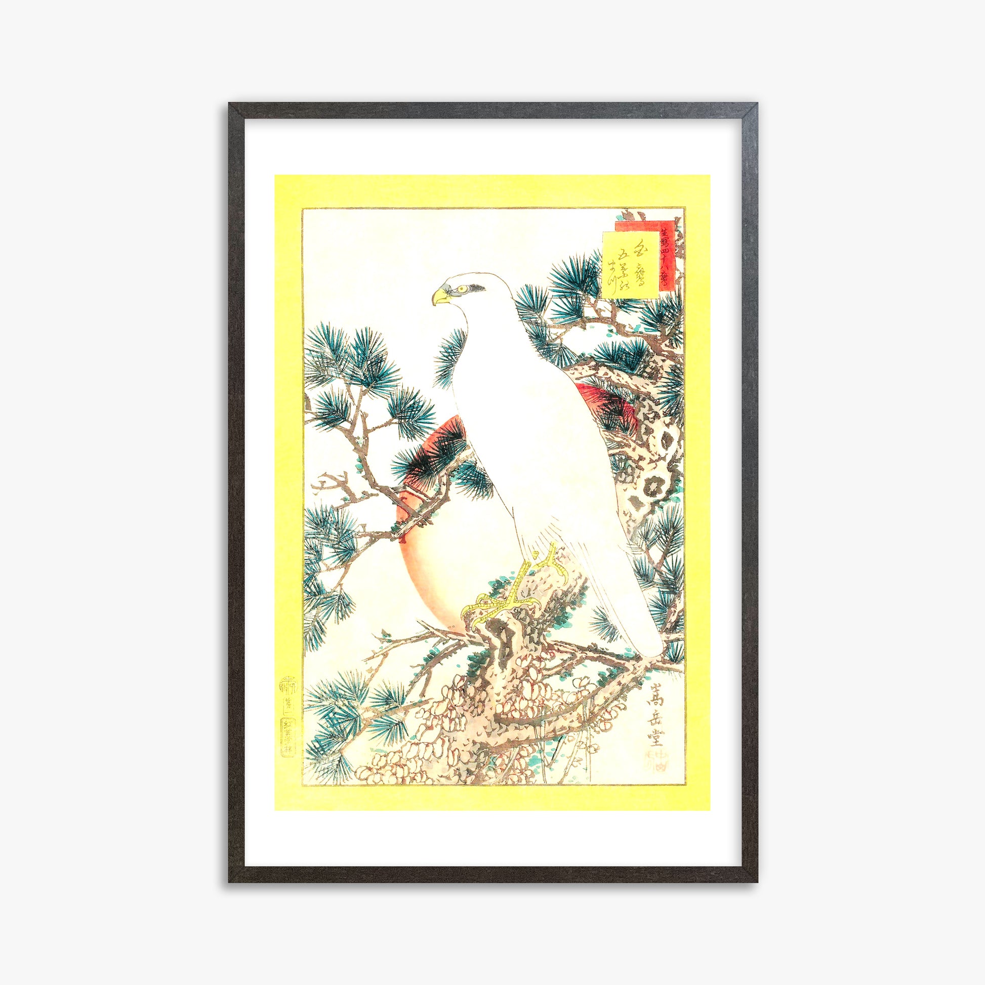 Nakayama Sûgakudô: White Falcon and Five-needled Pine, 61x91cm Framed Art Reproduction With Espresso Frame