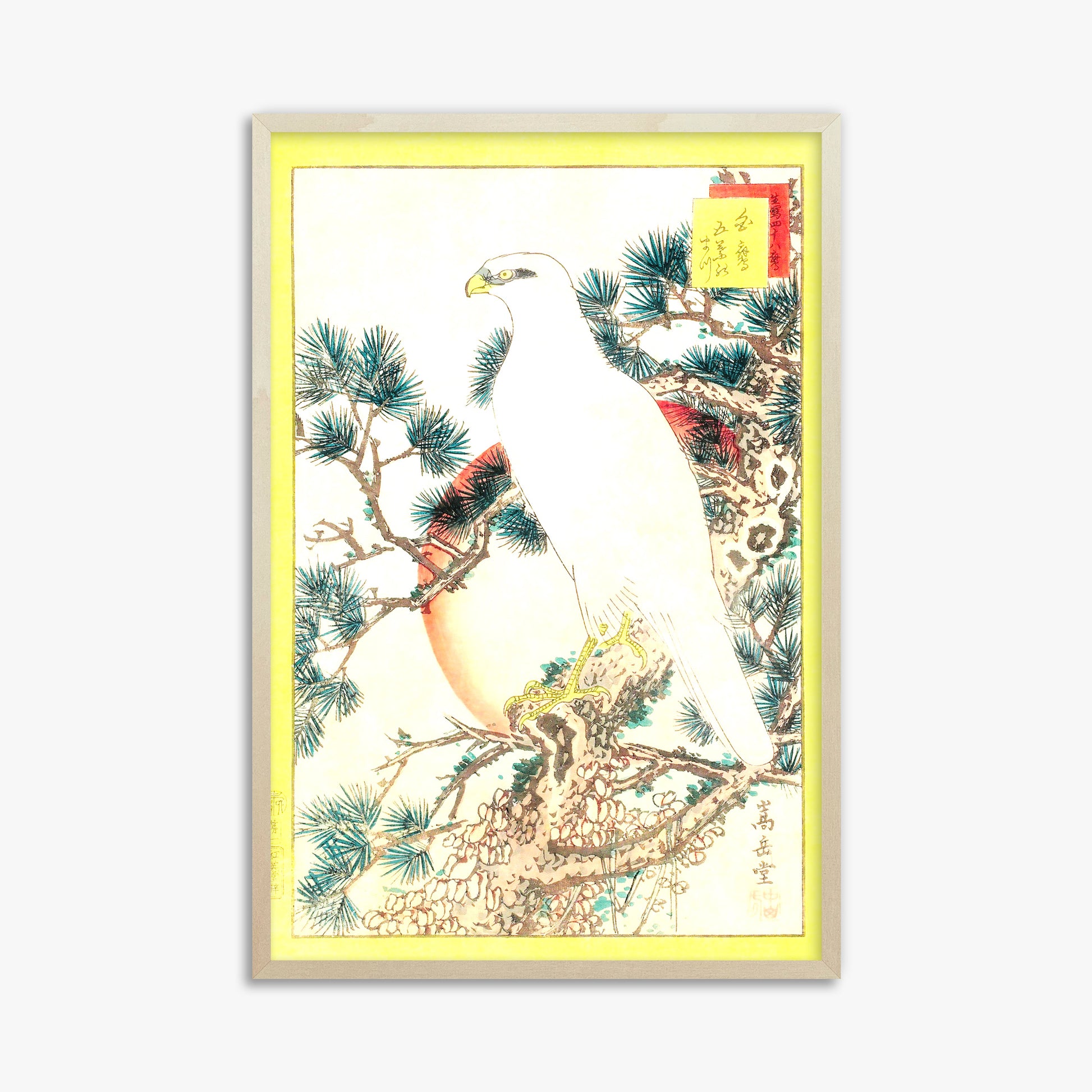 Nakayama Sûgakudô: White Falcon and Five-needled Pine, 61x91cm Framed Art Reproduction With Lime Wood Frame