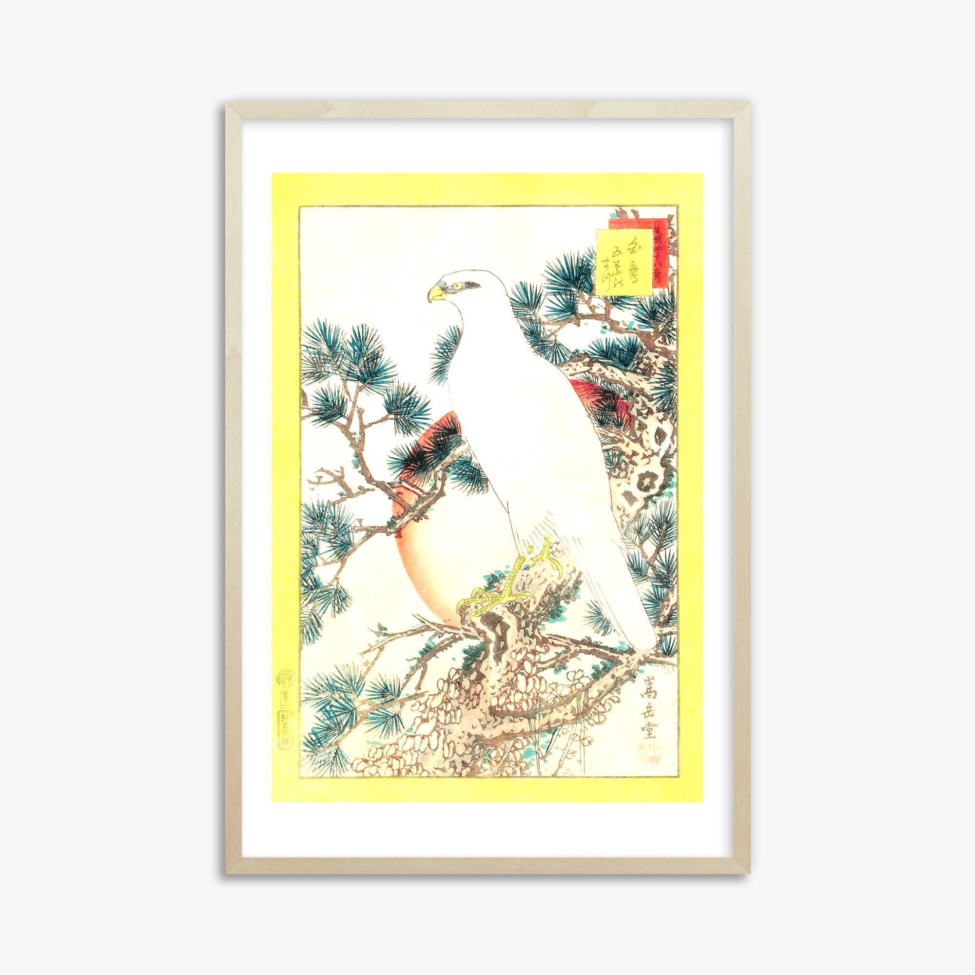 Nakayama Sûgakudô: White Falcon and Five-needled Pine, 61x91cm Framed Art Reproduction With Lime Wood Frame