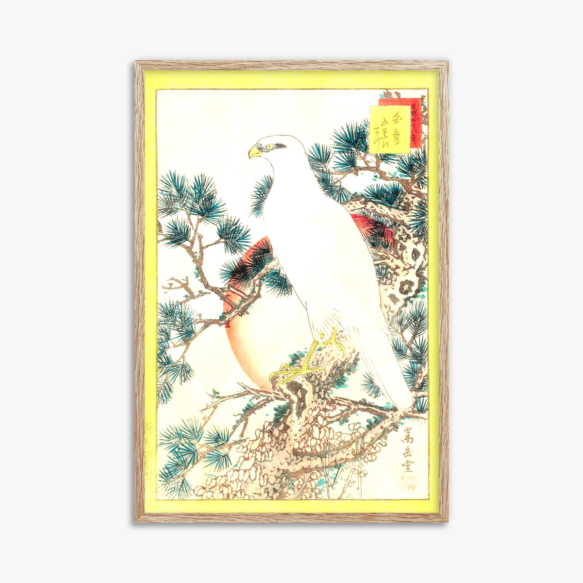 Nakayama Sûgakudô: White Falcon and Five-needled Pine, 61x91cm Framed Art Reproduction With Raw Oak Frame