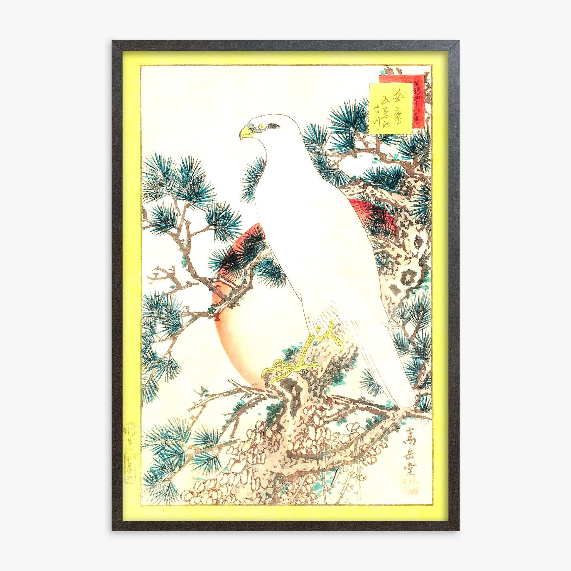 Nakayama Sûgakudô: White Falcon and Five-needled Pine, 70x100cm Framed Art Reproduction With Espresso Frame