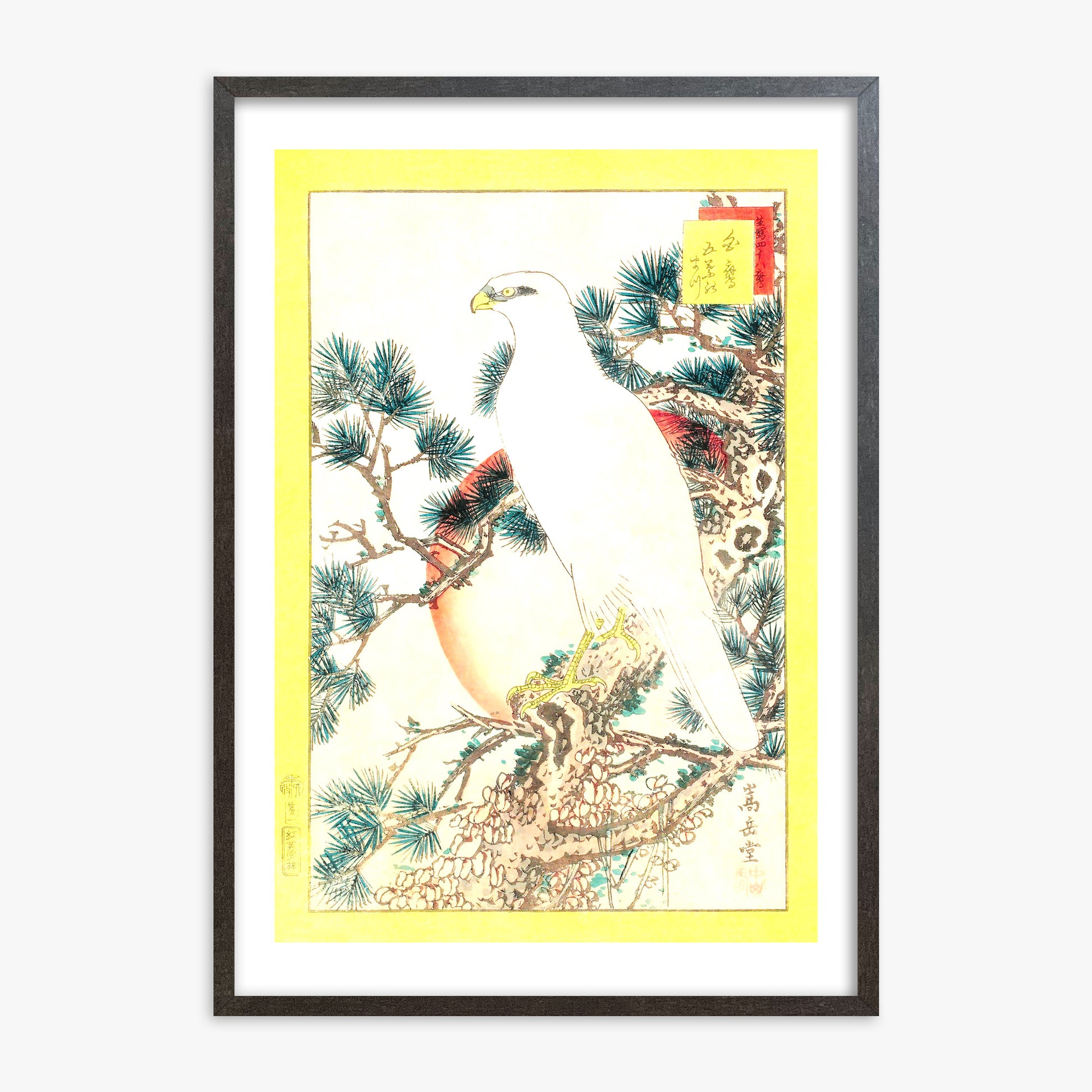 Nakayama Sûgakudô: White Falcon and Five-needled Pine, 70x100cm Framed Art Reproduction With Espresso Frame