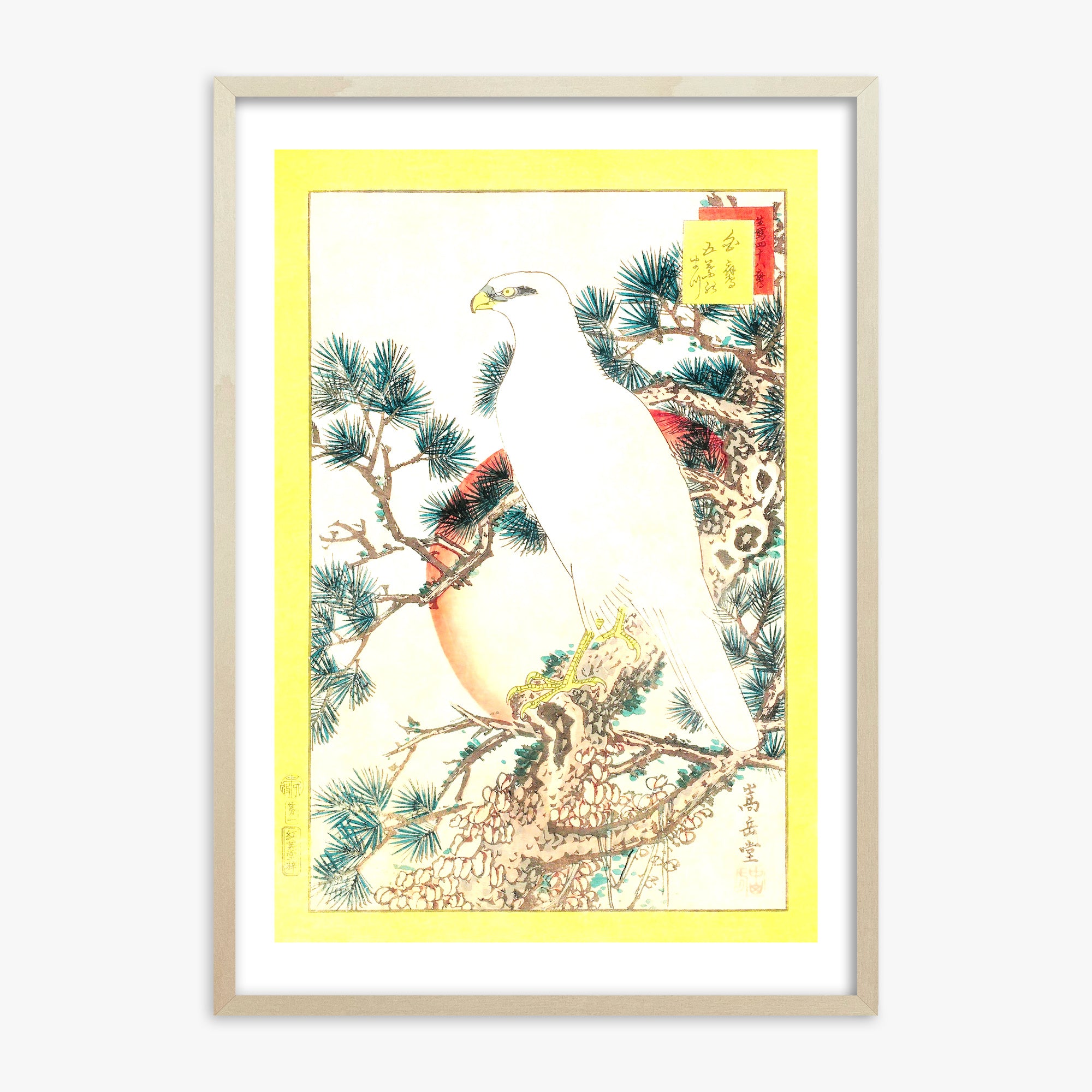 Nakayama Sûgakudô: White Falcon and Five-needled Pine, 70x100cm Framed Art Reproduction With Lime Wood Frame
