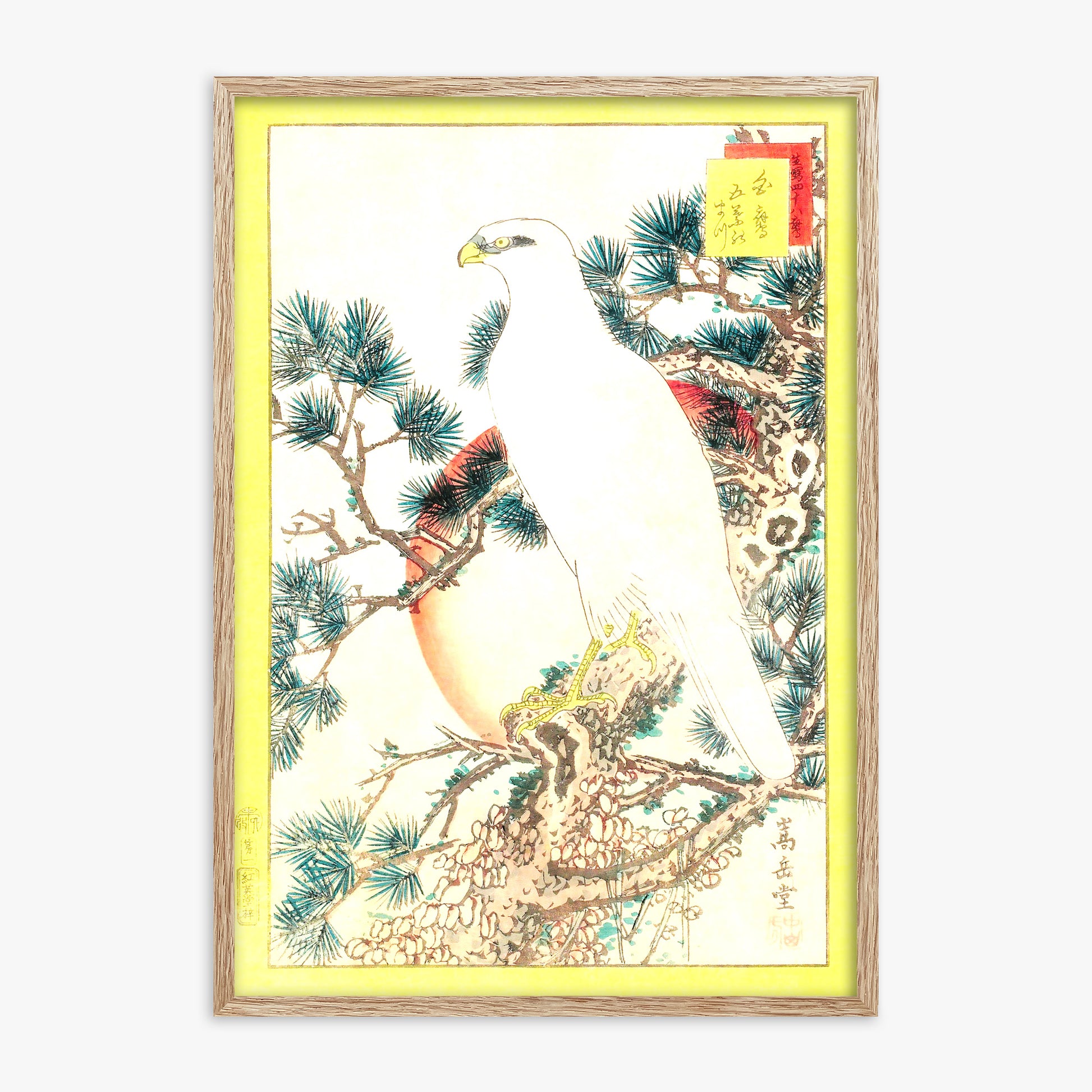 Nakayama Sûgakudô: White Falcon and Five-needled Pine, 70x100cm Framed Art Reproduction With Raw Oak Frame