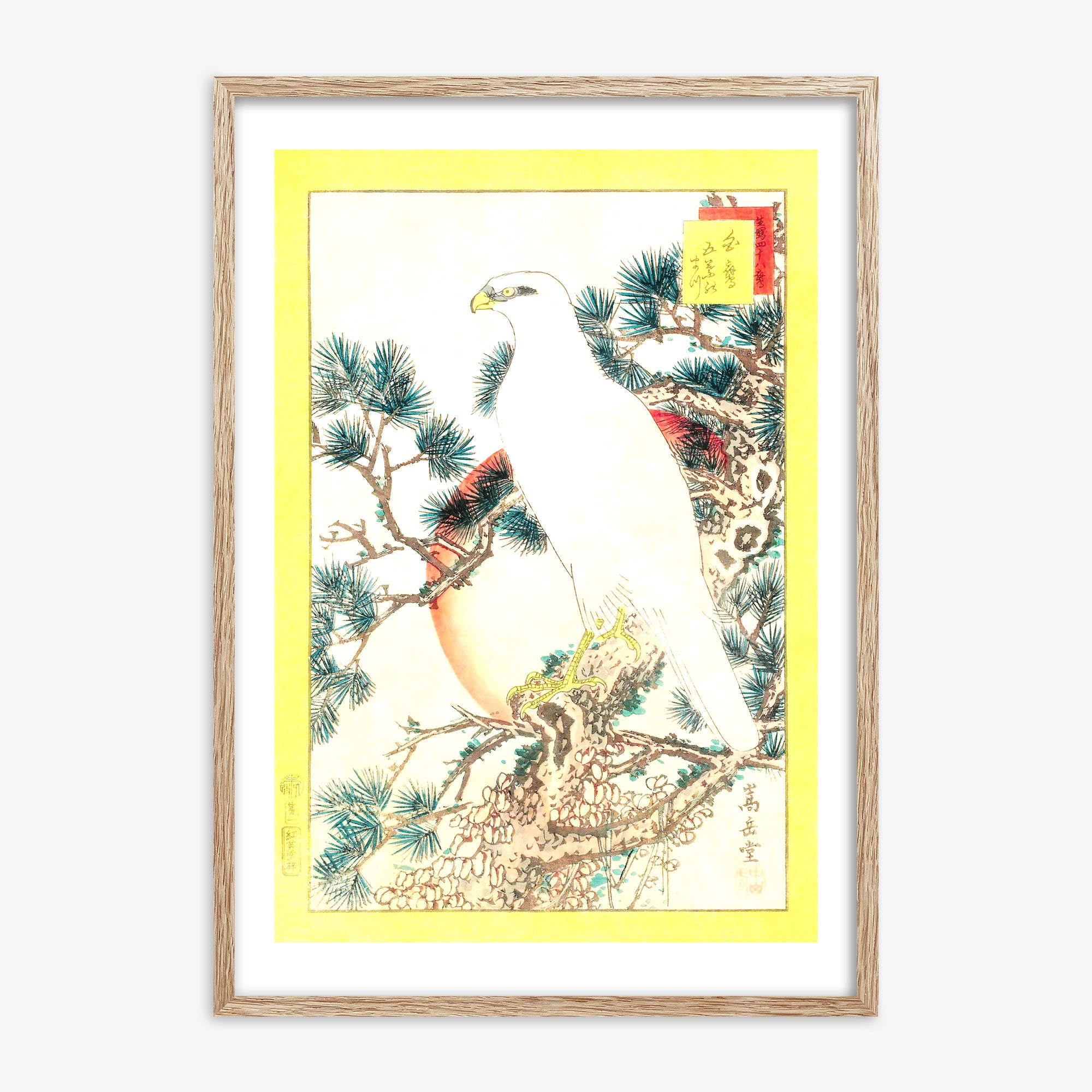 Nakayama Sûgakudô: White Falcon and Five-needled Pine, 70x100cm Framed Art Reproduction With Raw Oak Frame