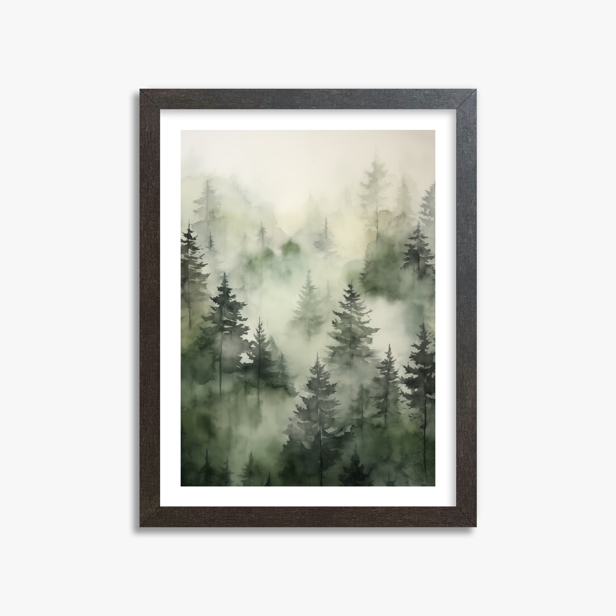Serenità dei pini nebbiosi