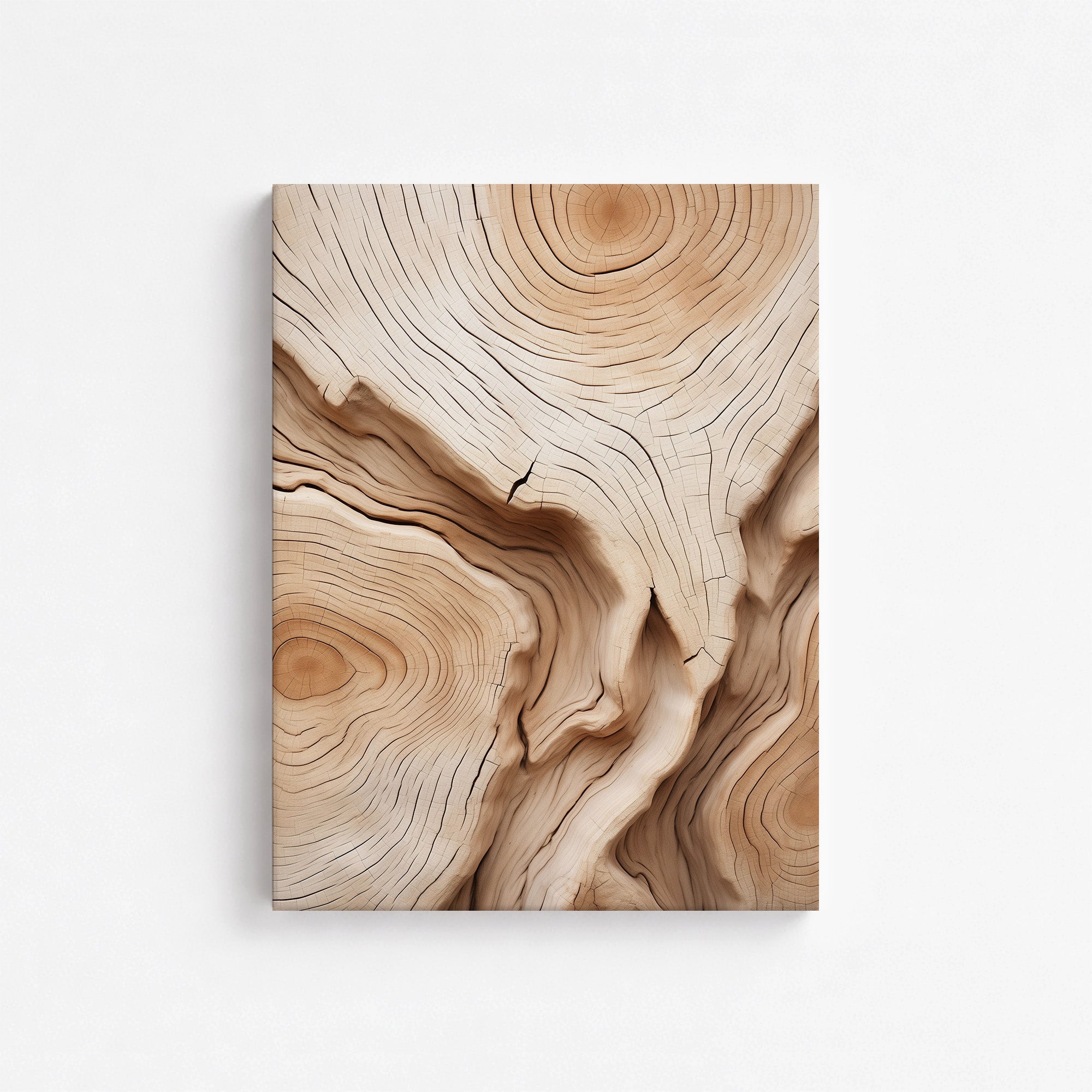 Timber Echo