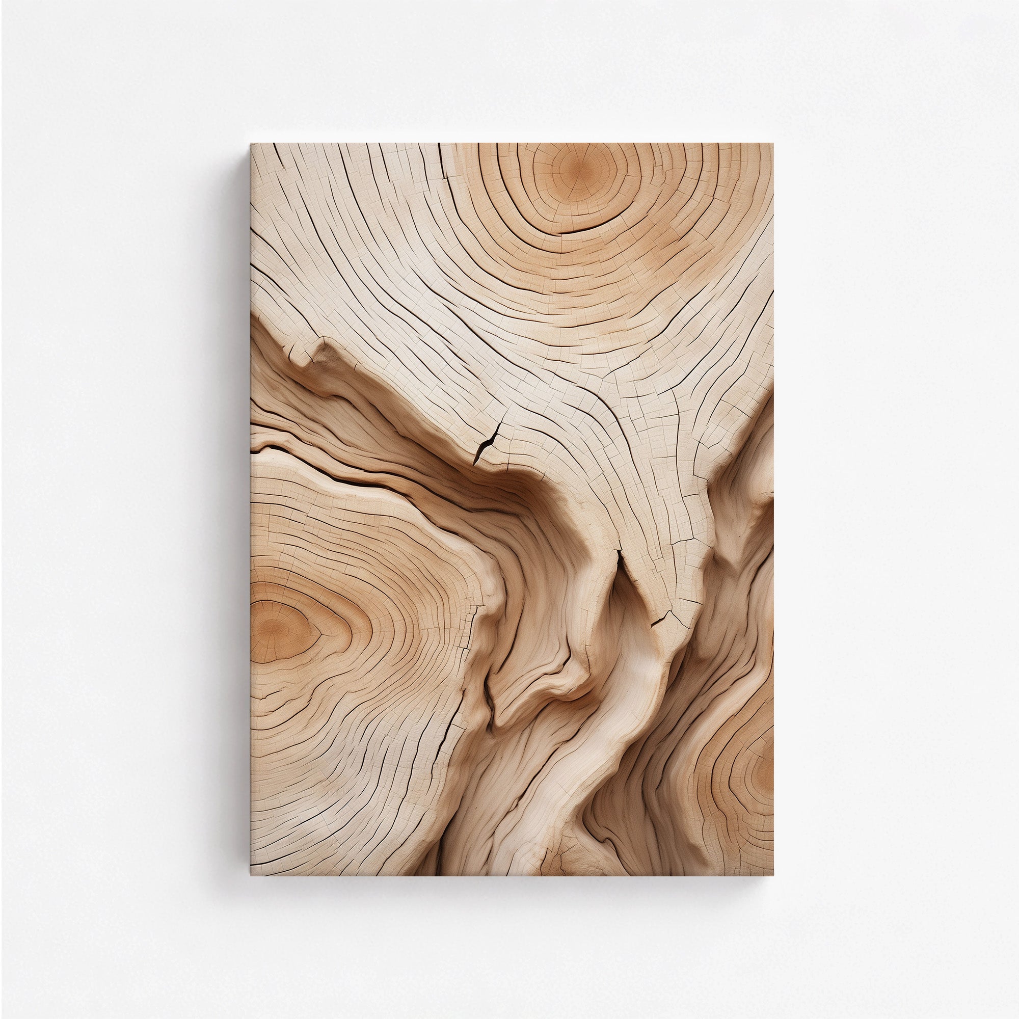 Timber Echo