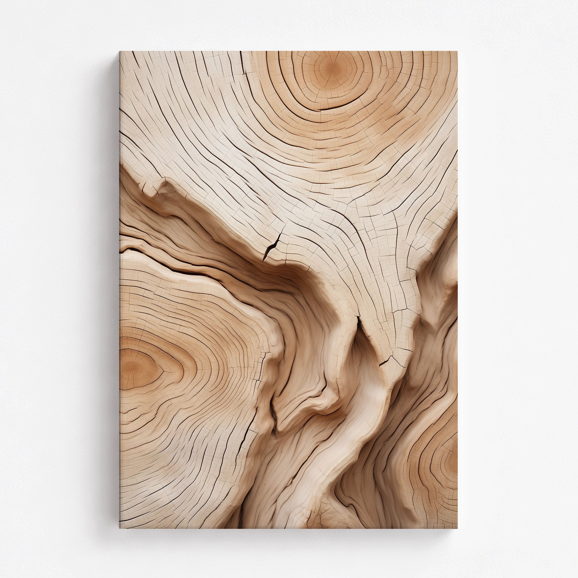 Timber Echo