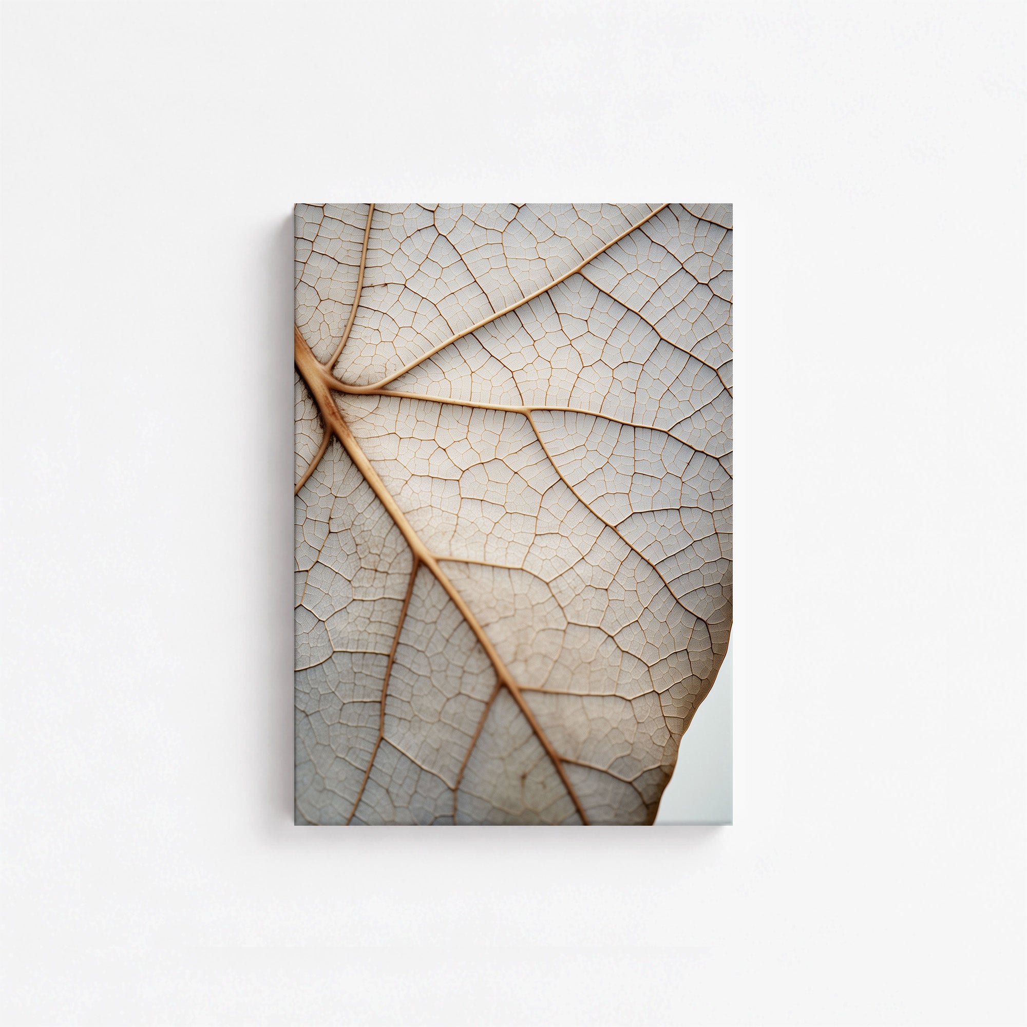 Veins of Nature