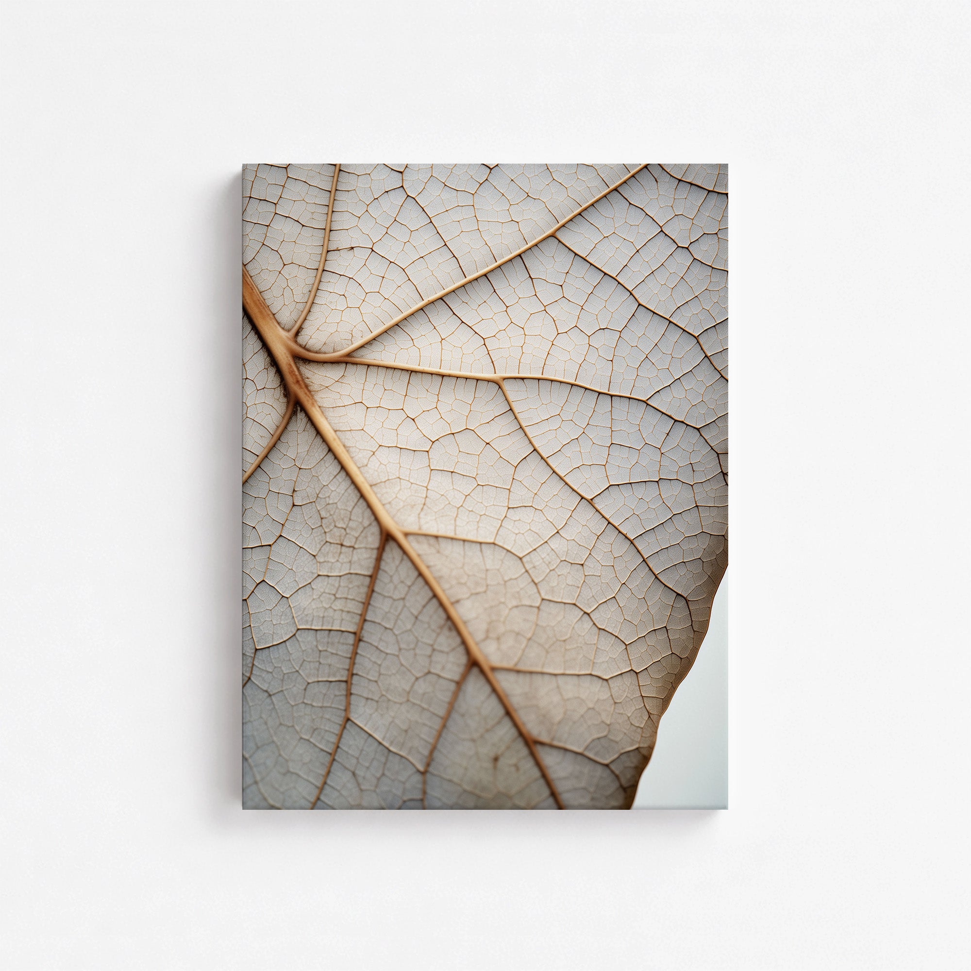 Veins of Nature