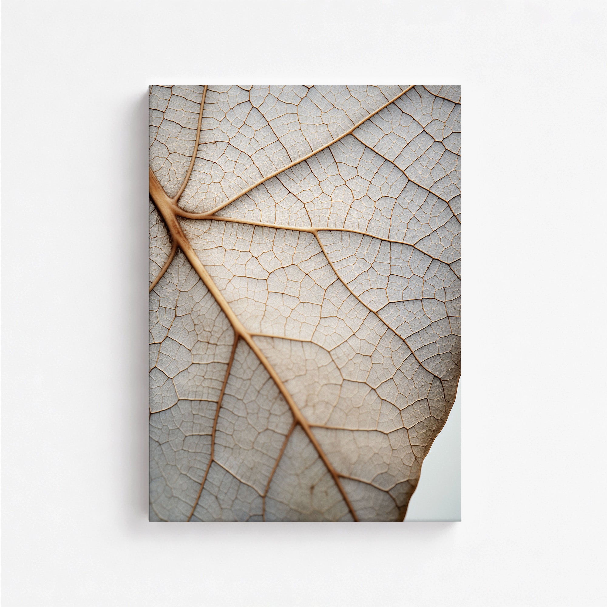 Veins of Nature