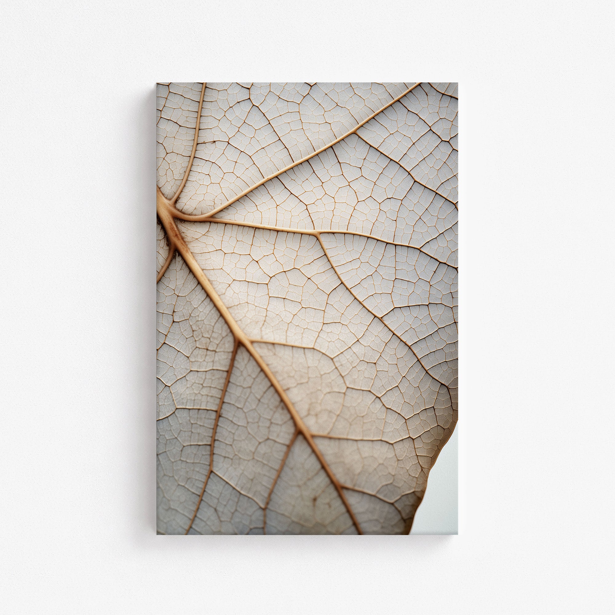Veins of Nature