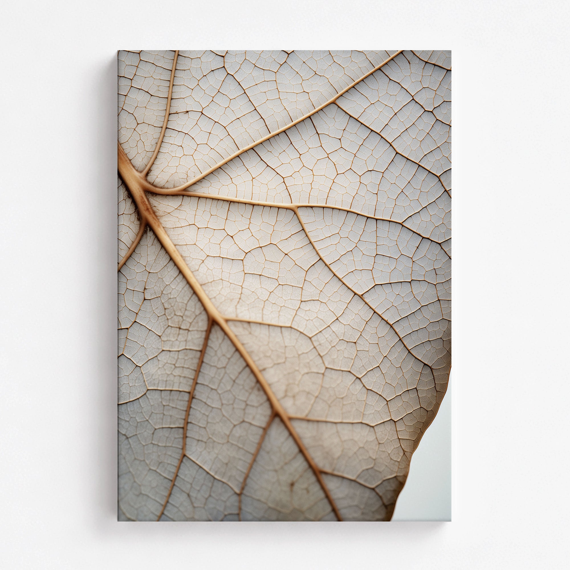 Veins of Nature