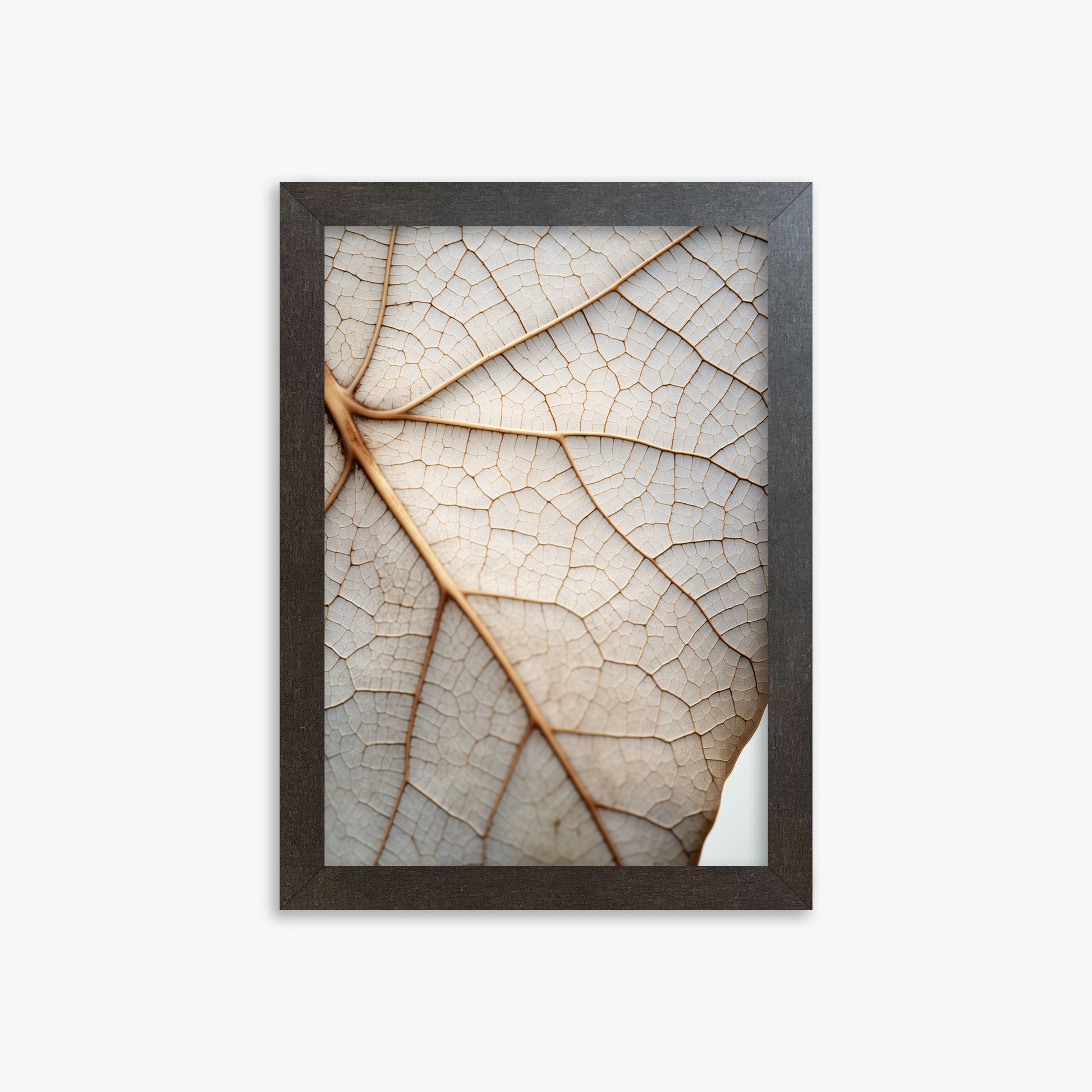 Veins of Nature, 21x30cm Framed Poster With Espresso Frame