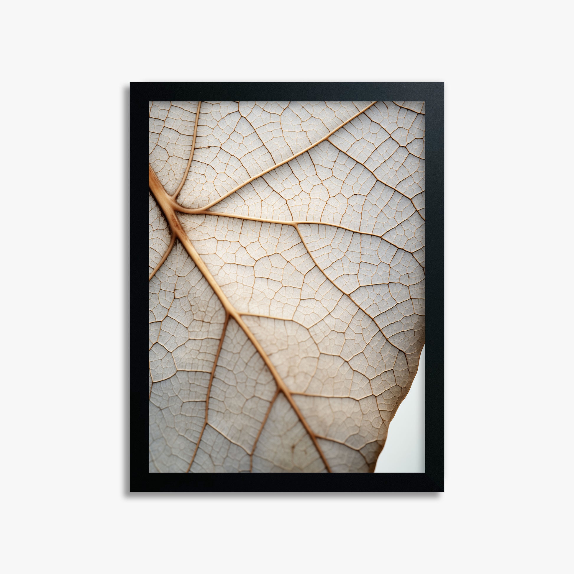 Veins of Nature, 30x40cm Framed Poster With Black Frame