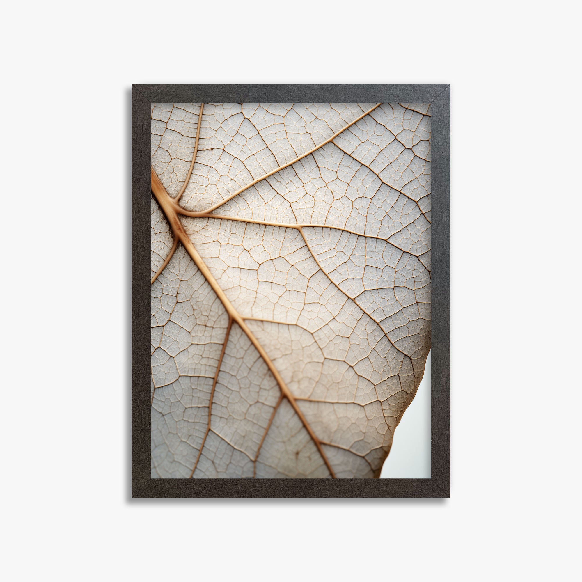 Veins of Nature, 30x40cm Framed Poster With Espresso Frame