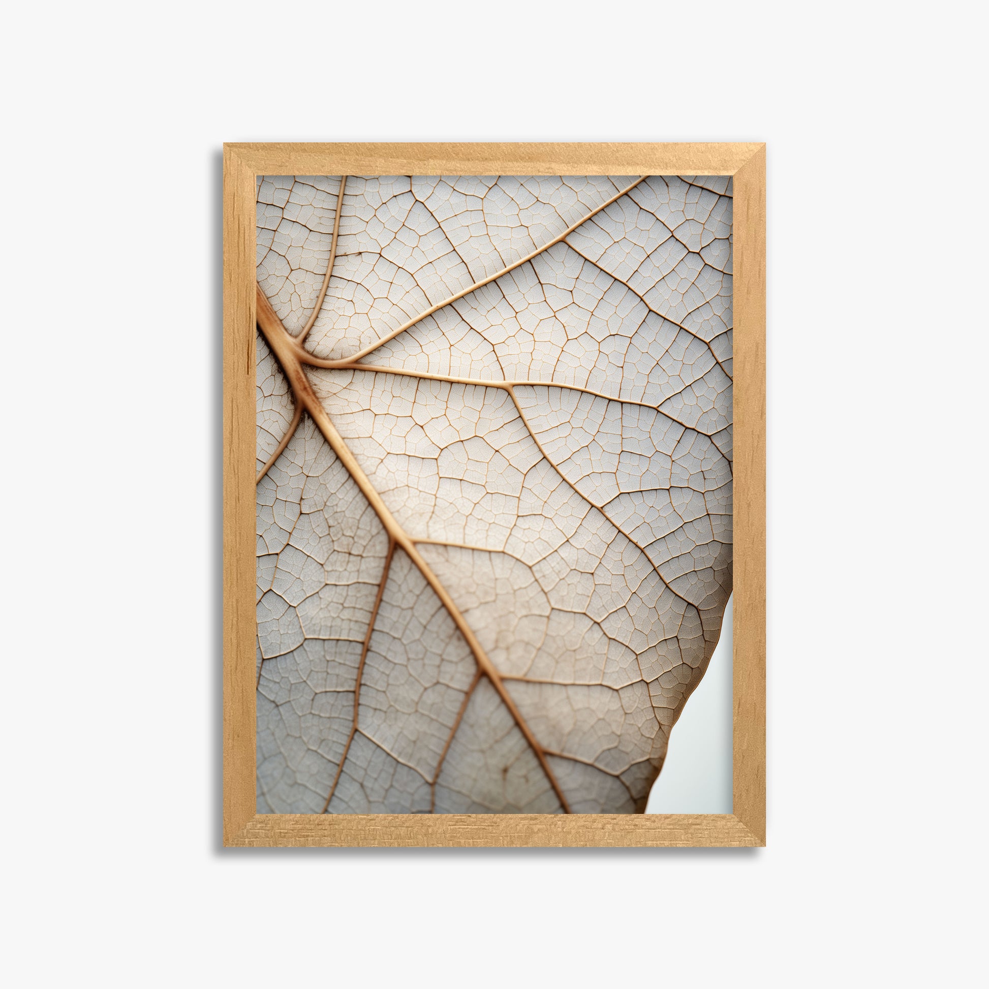 Veins of Nature, 30x40cm Framed Poster With Oak Frame