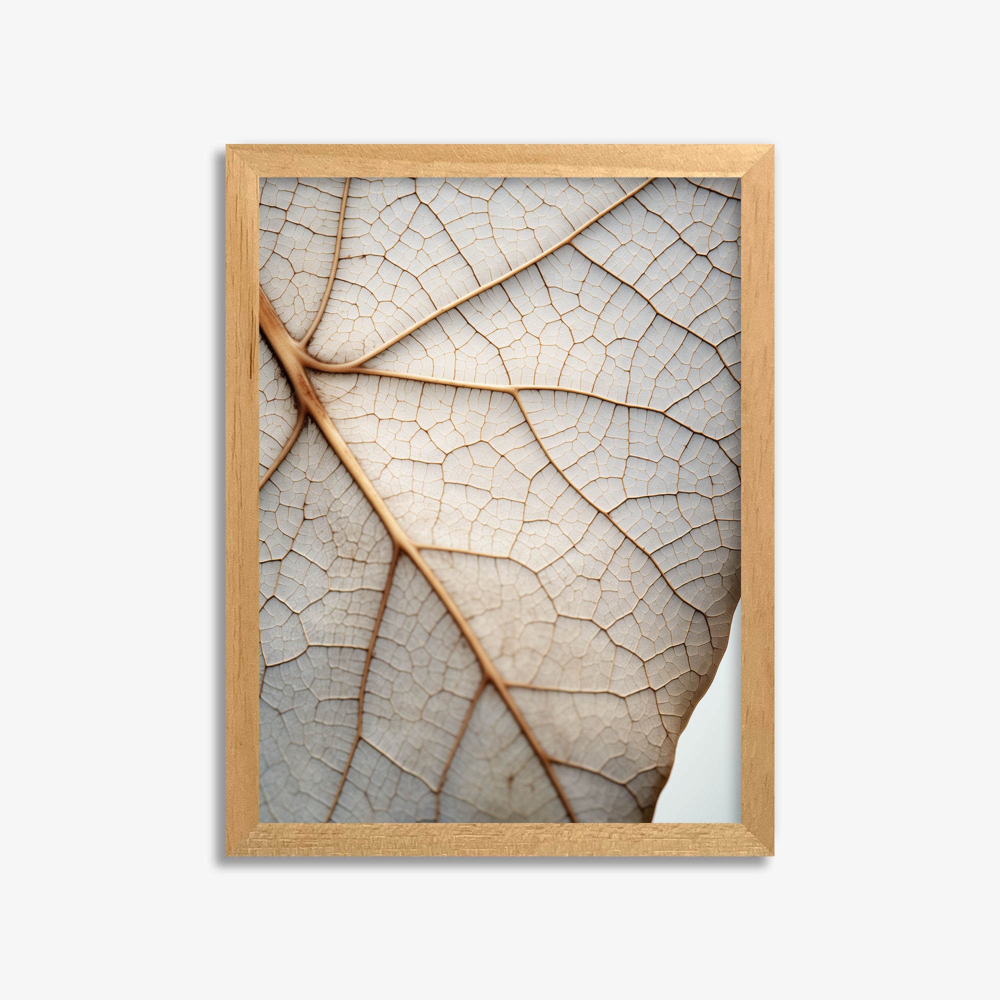 Veins of Nature, 30x40cm Framed Poster With Oak Frame