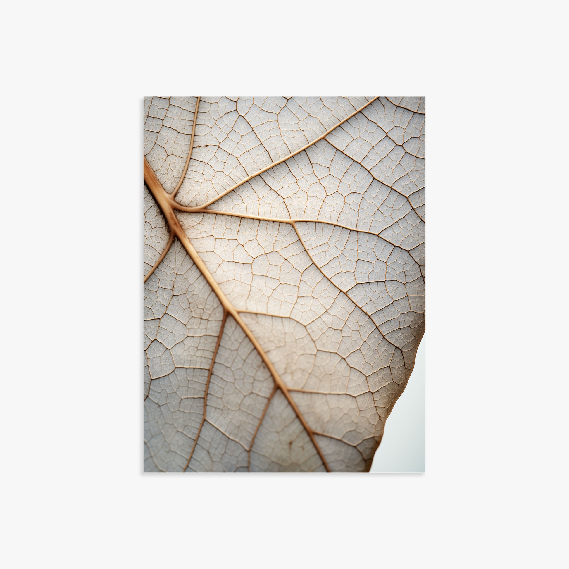Veins of Nature, 30x40cm Poster Unframed
