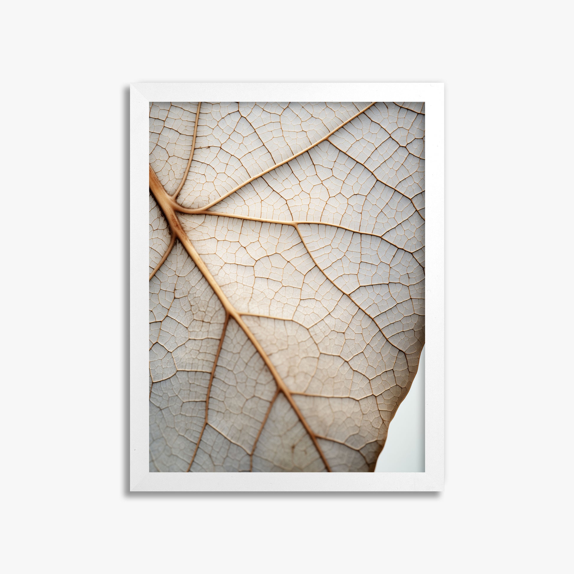 Veins of Nature, 30x40cm Framed Poster With White Frame