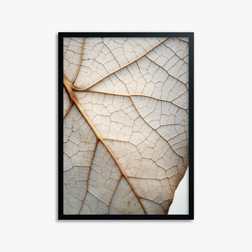 Veins of Nature, 50x70cm Framed Poster With Black Frame
