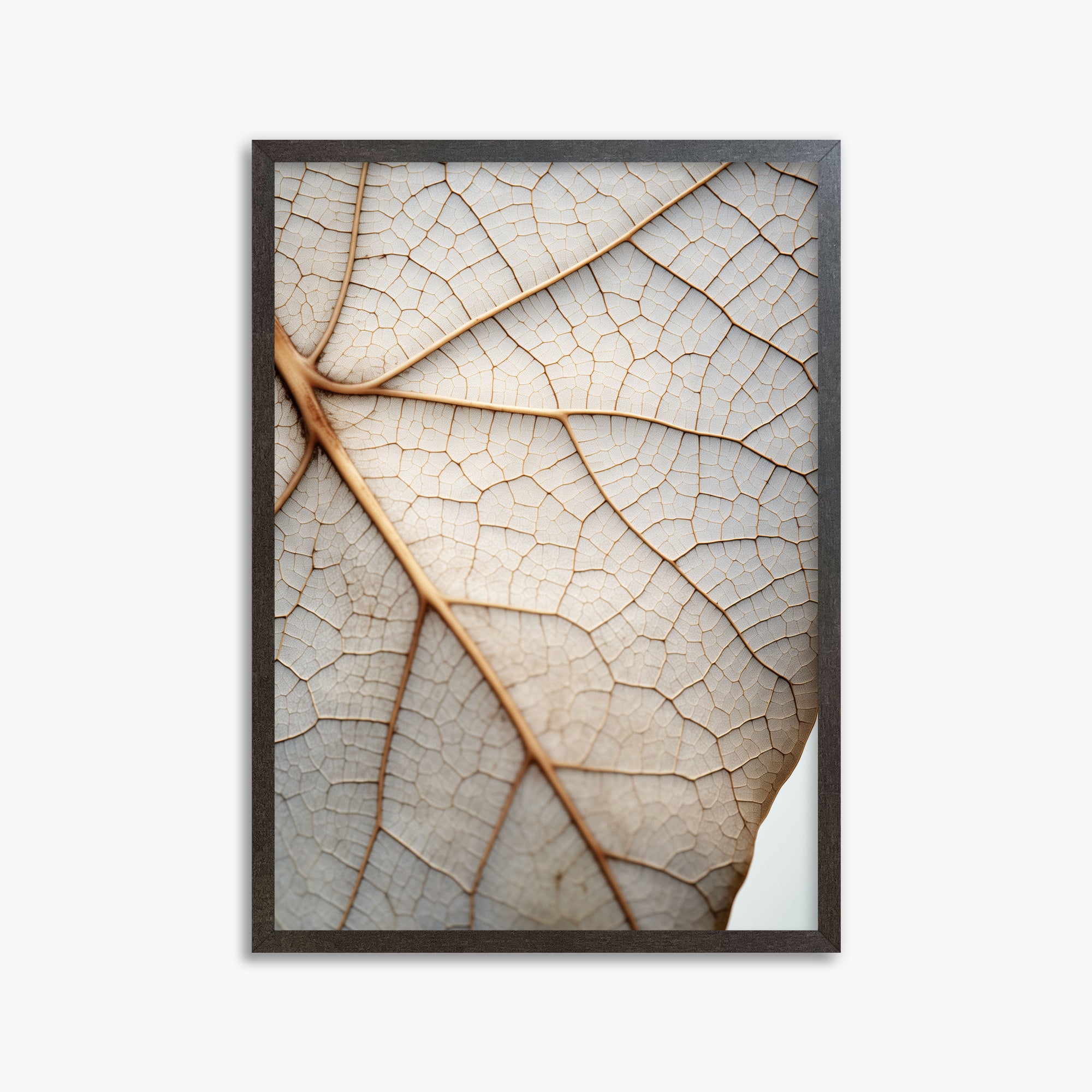 Veins of Nature, 50x70cm Framed Poster With Espresso Frame