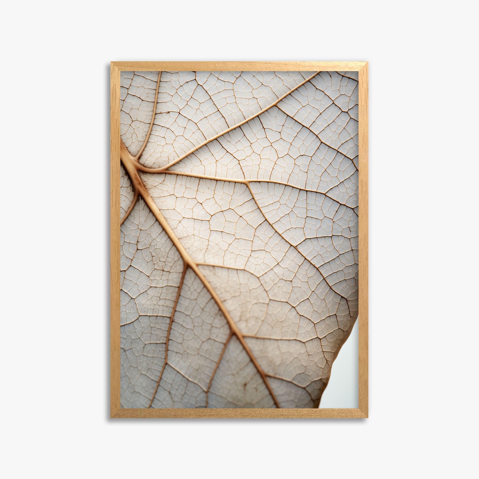 Veins of Nature, 50x70cm Framed Poster With Oak Frame