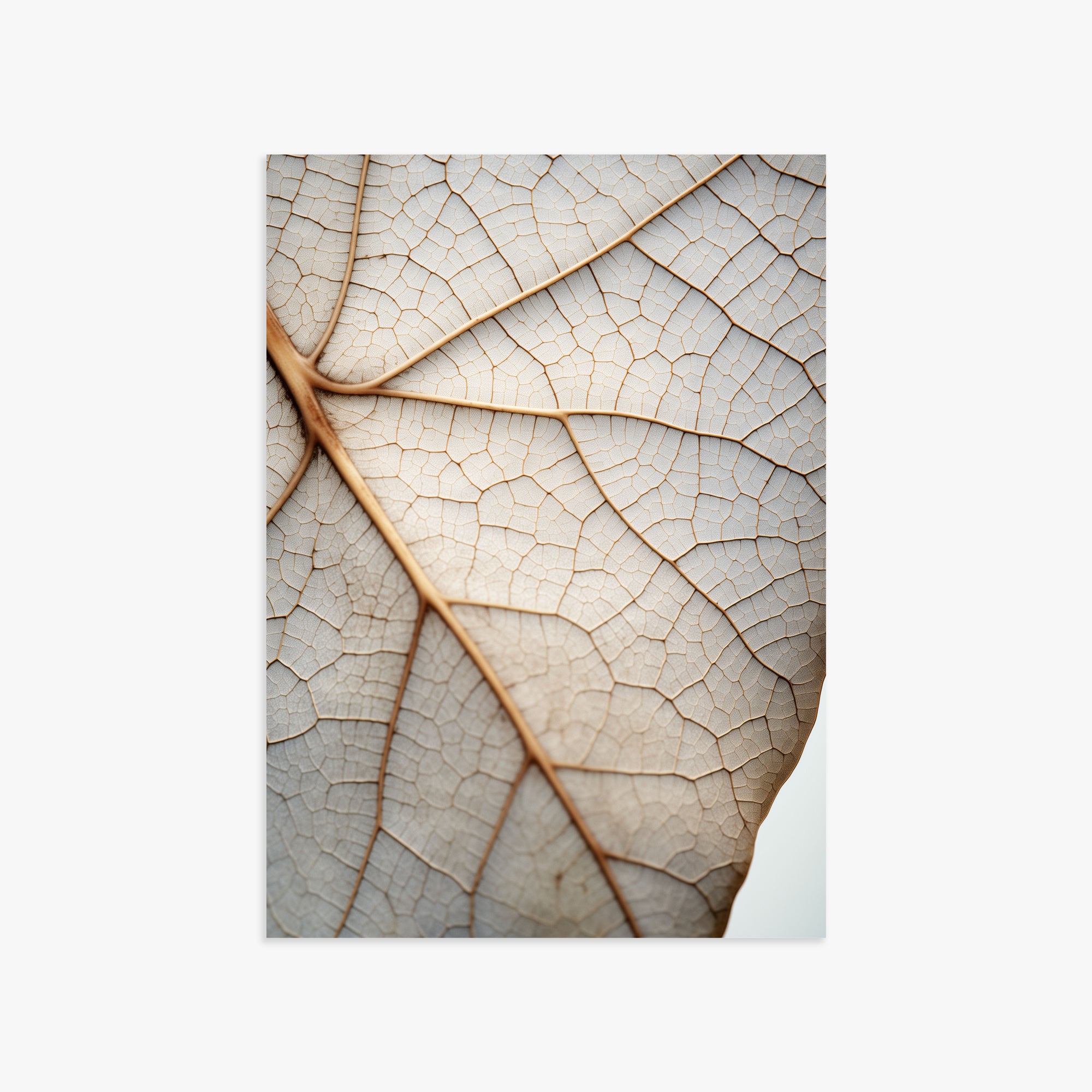 Veins of Nature, 50x70cm Poster Unframed