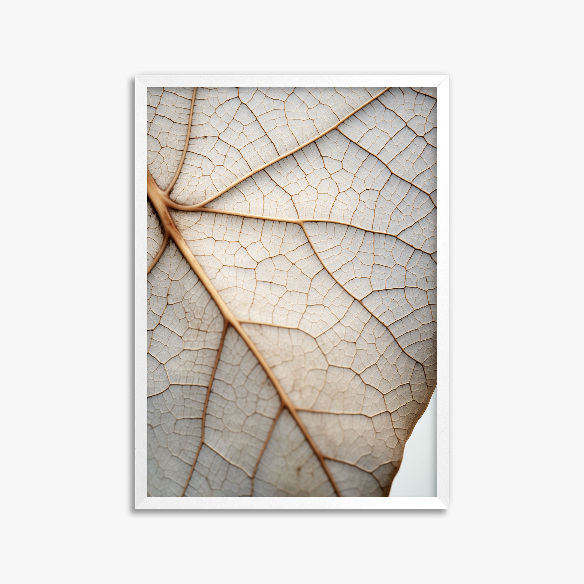 Veins of Nature, 50x70cm Framed Poster With White Frame