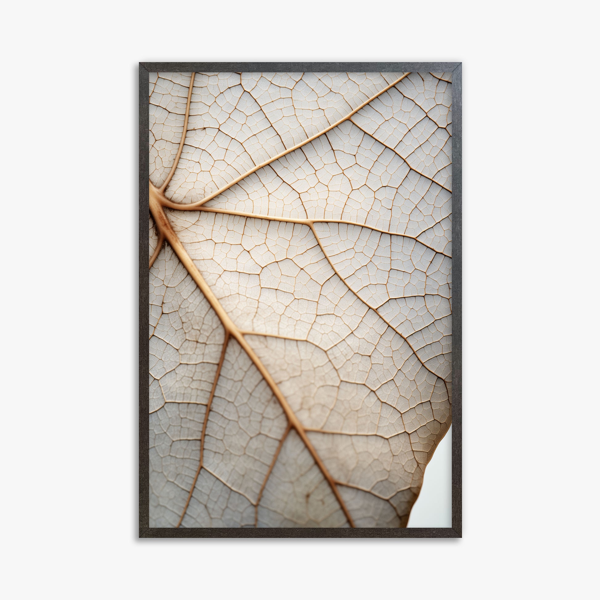 Veins of Nature, 61x91cm Framed Poster With Espresso Frame