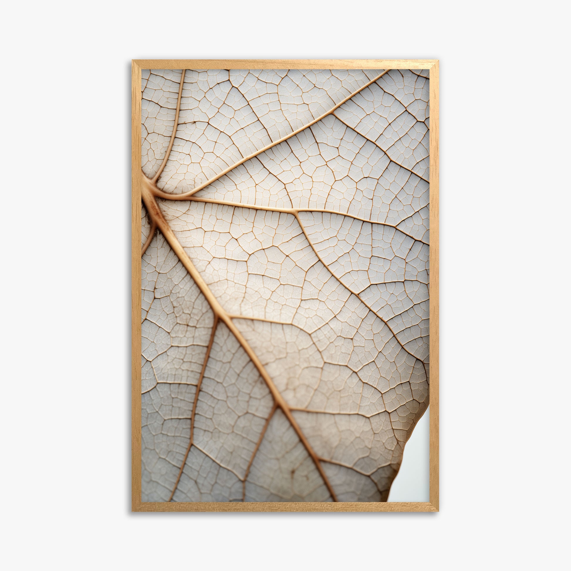 Veins of Nature, 61x91cm Framed Poster With Oak Frame