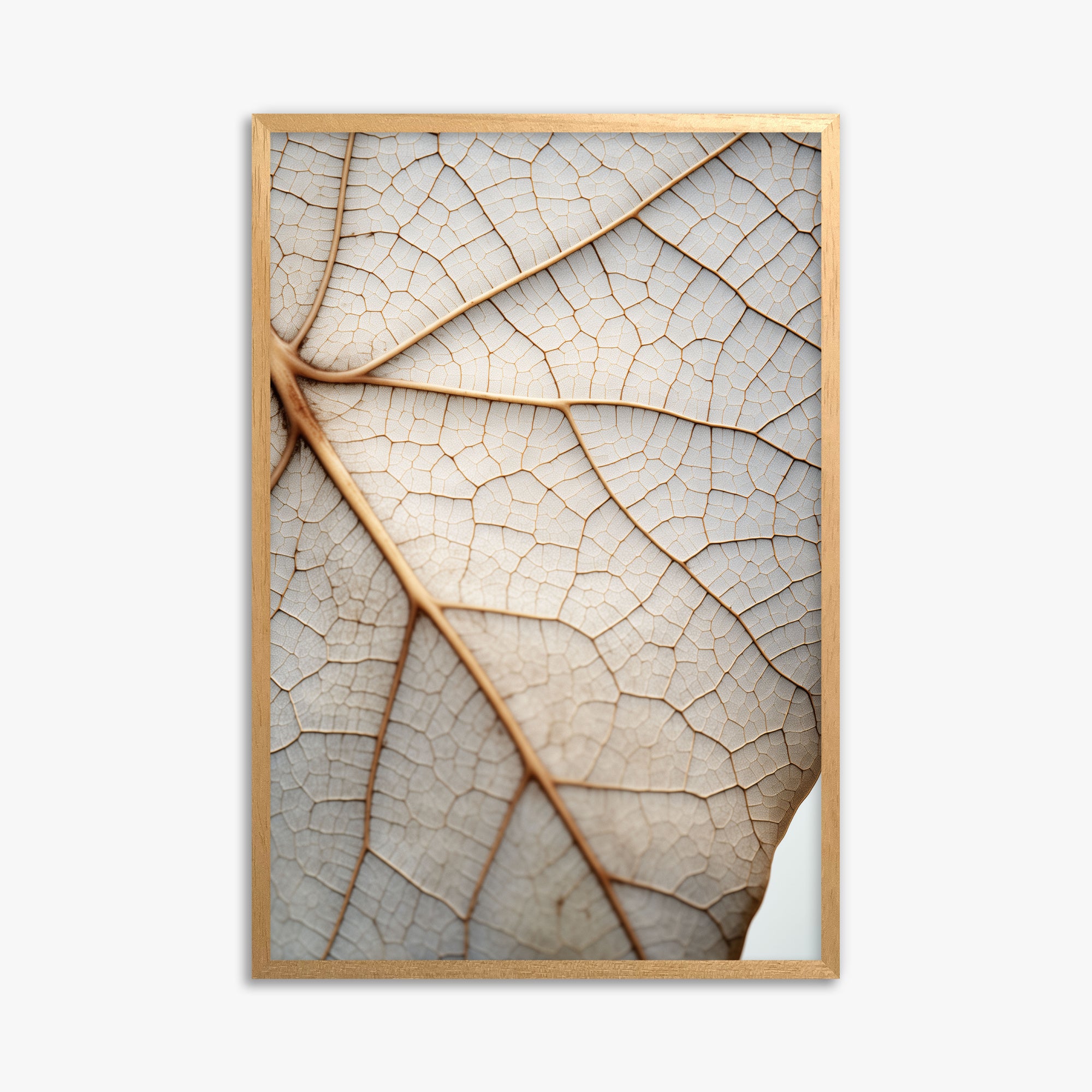 Veins of Nature, 61x91cm Framed Poster With Oak Frame